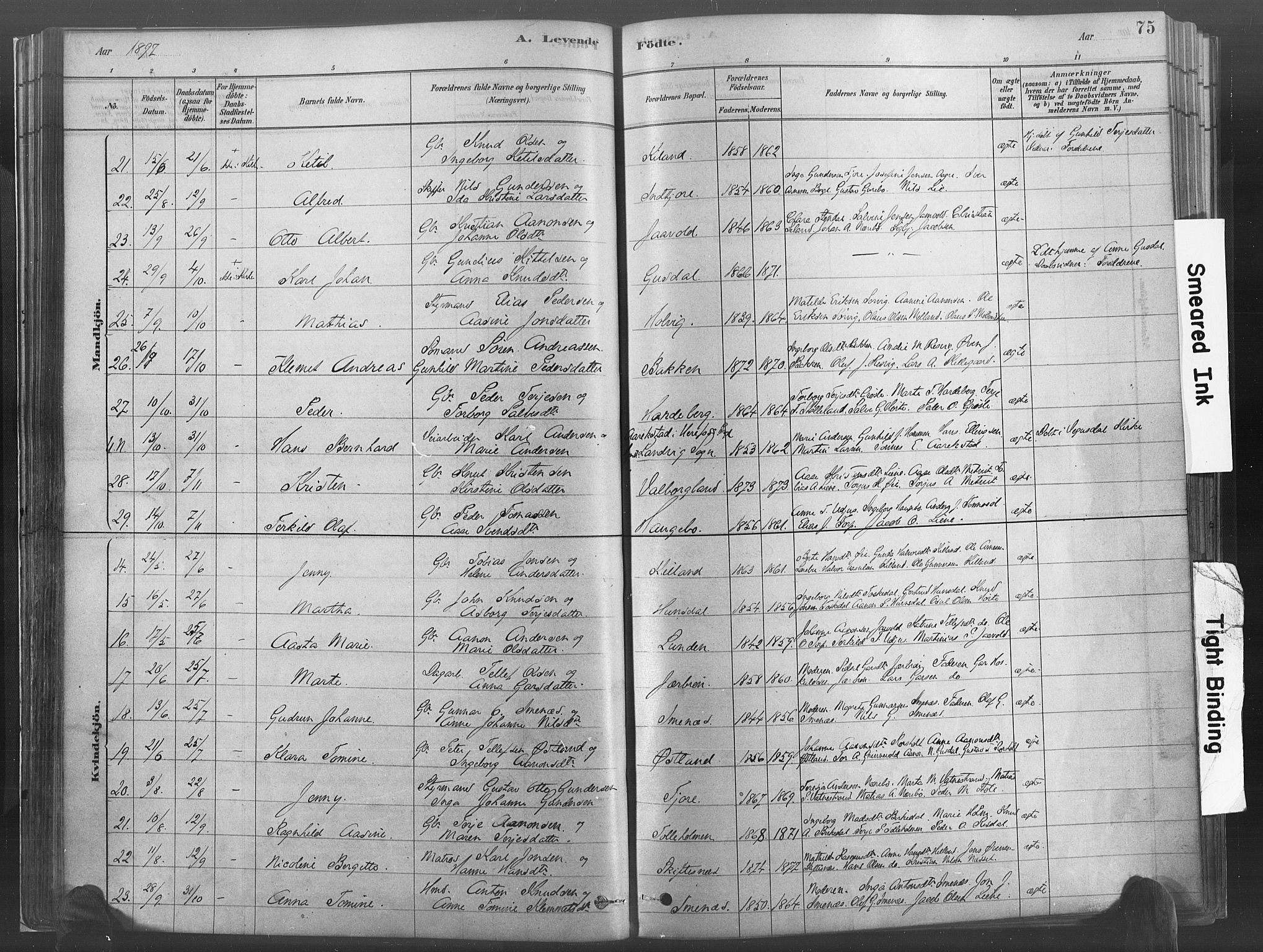 Hommedal sokneprestkontor, AV/SAK-1111-0023/F/Fa/Fab/L0006: Parish register (official) no. A 6, 1878-1897, p. 75