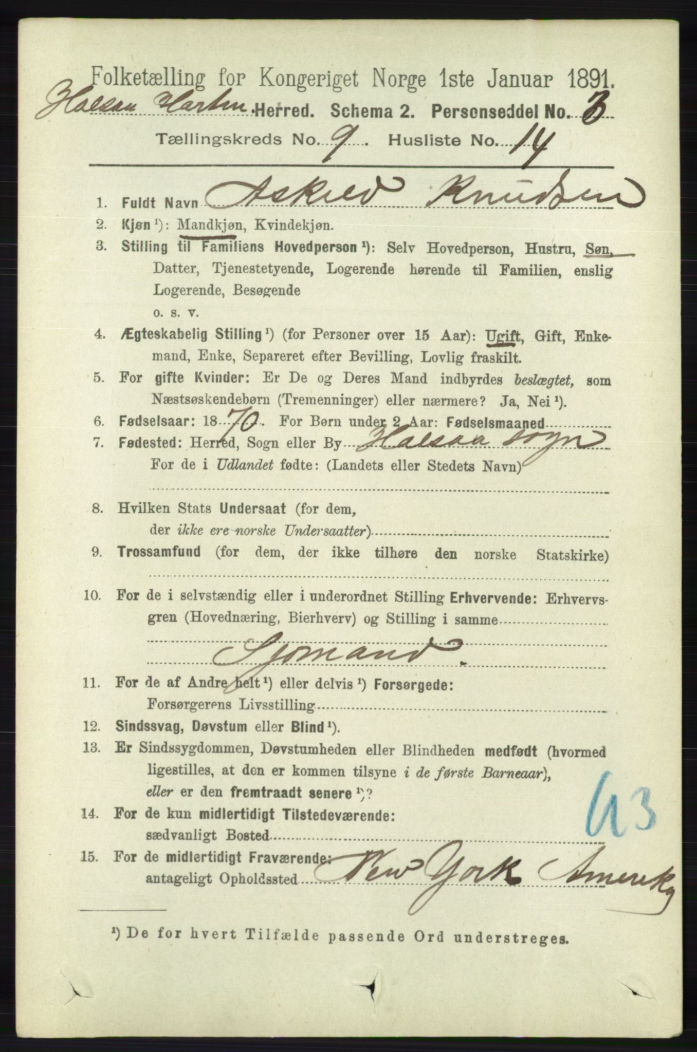 RA, 1891 census for 1019 Halse og Harkmark, 1891, p. 3699