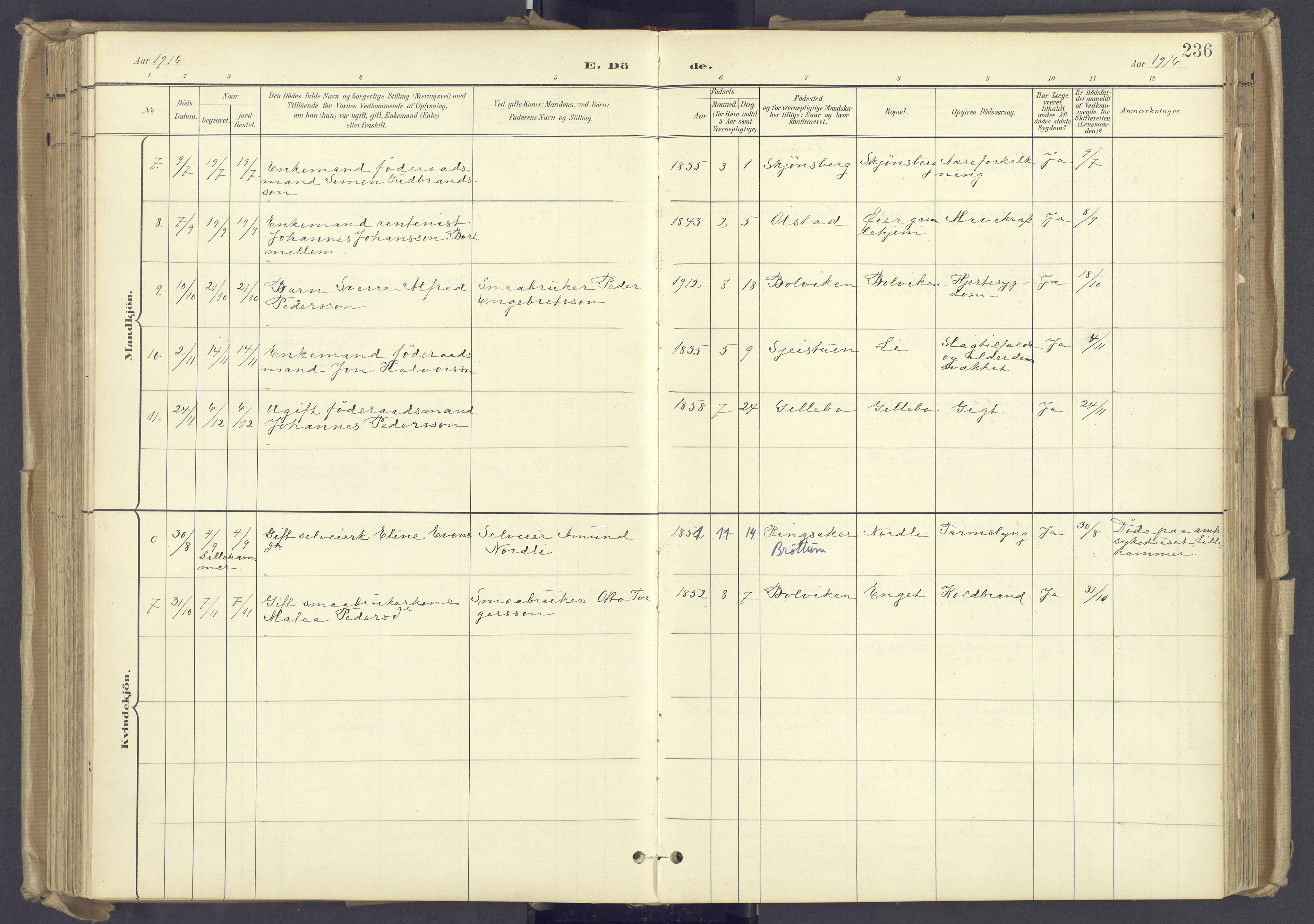 Øyer prestekontor, SAH/PREST-084/H/Ha/Haa/L0012: Parish register (official) no. 12, 1897-1920, p. 236