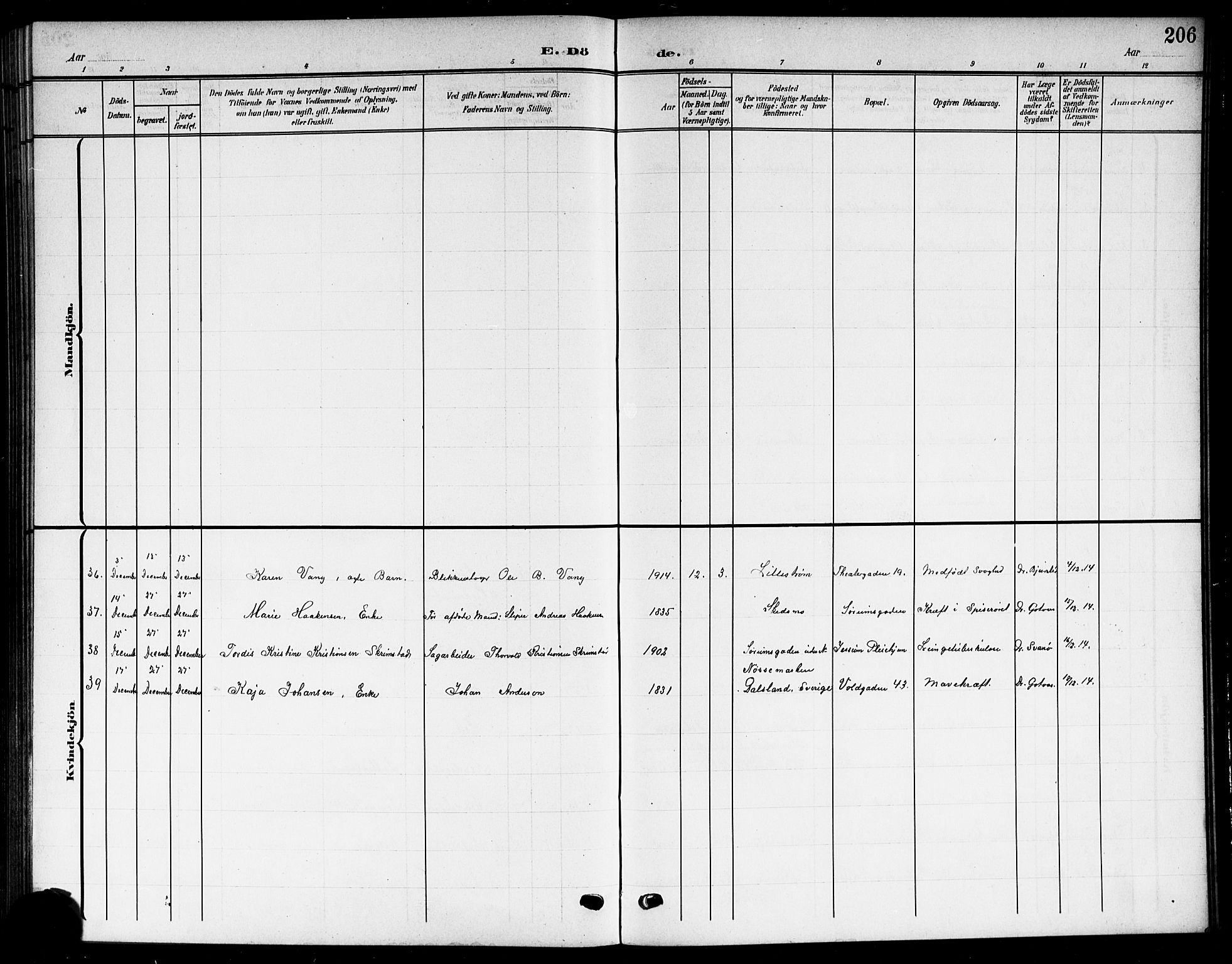 Skedsmo prestekontor Kirkebøker, SAO/A-10033a/G/Gc/L0001: Parish register (copy) no. III 1, 1908-1916, p. 206