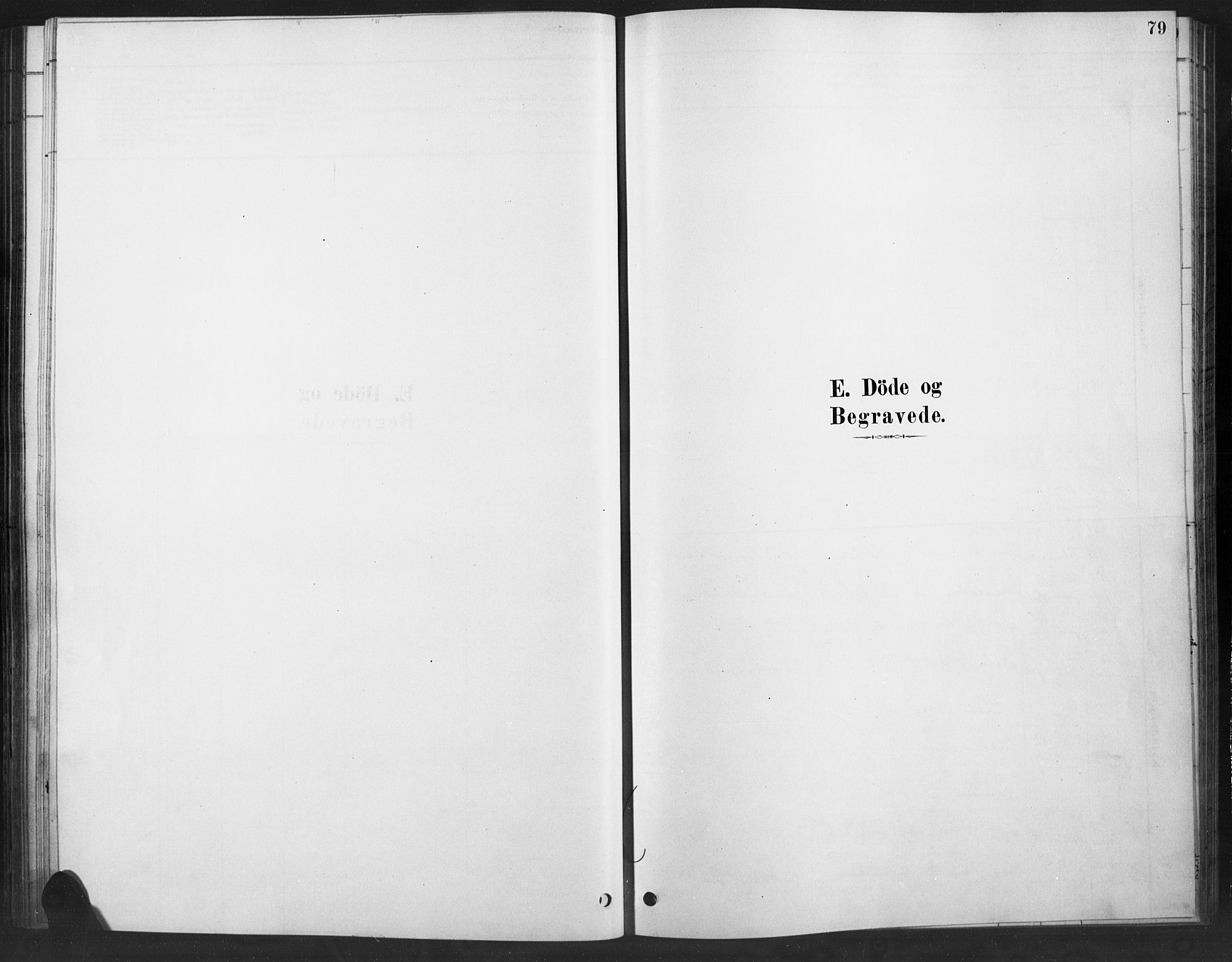 Ringebu prestekontor, SAH/PREST-082/H/Ha/Haa/L0010: Parish register (official) no. 10, 1878-1898, p. 79