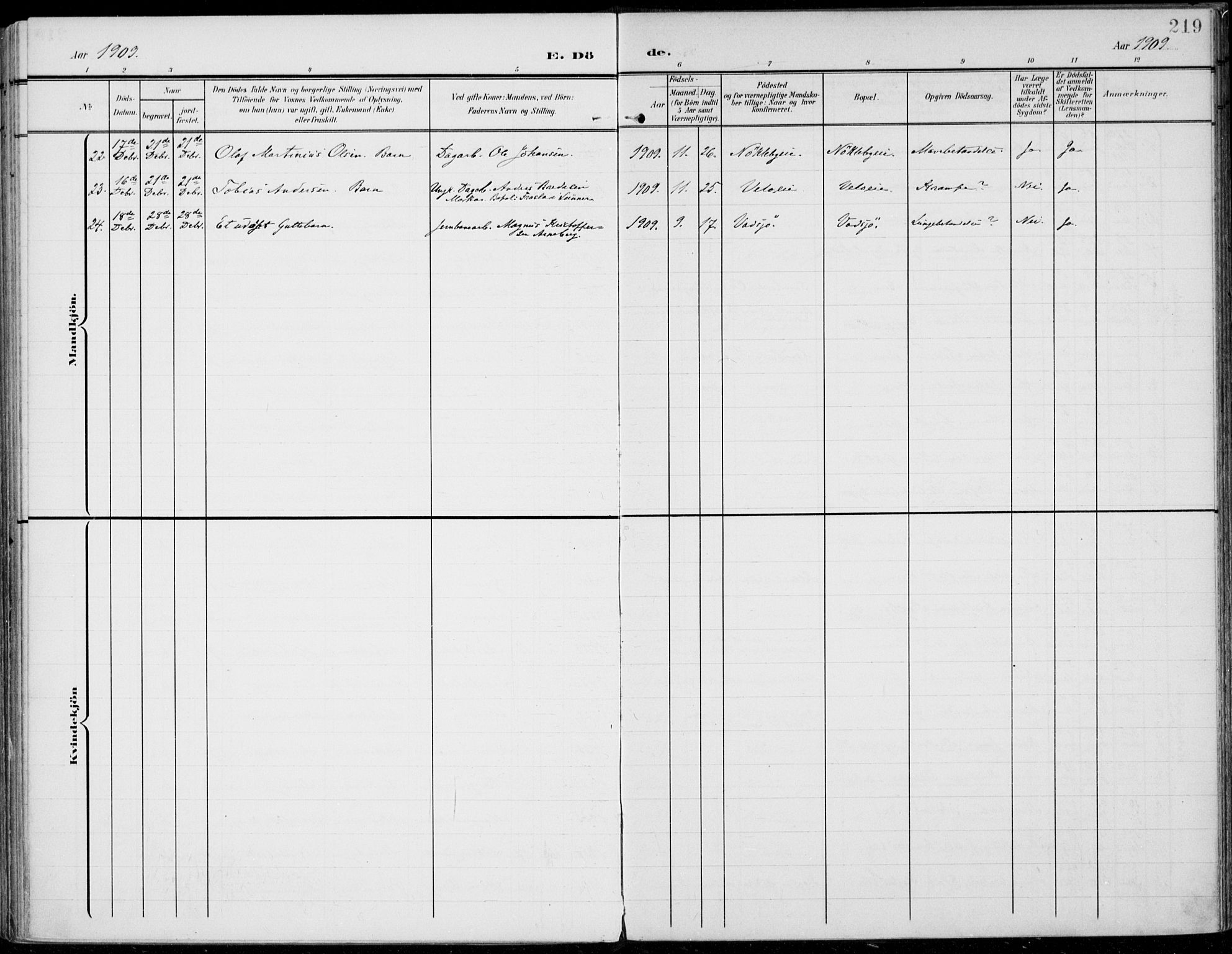 Jevnaker prestekontor, SAH/PREST-116/H/Ha/Haa/L0011: Parish register (official) no. 11, 1902-1913, p. 219