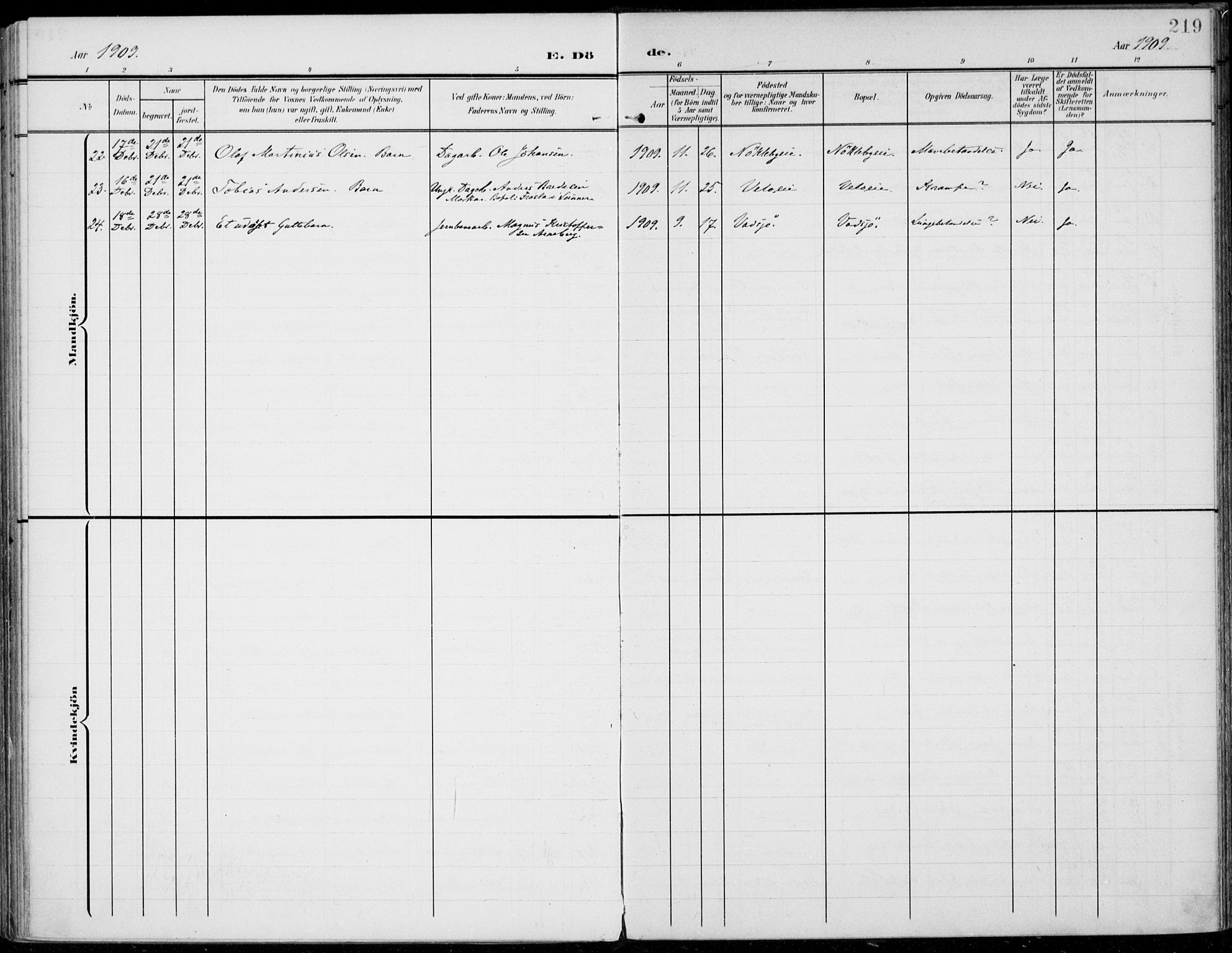 Jevnaker prestekontor, AV/SAH-PREST-116/H/Ha/Haa/L0011: Parish register (official) no. 11, 1902-1913, p. 219