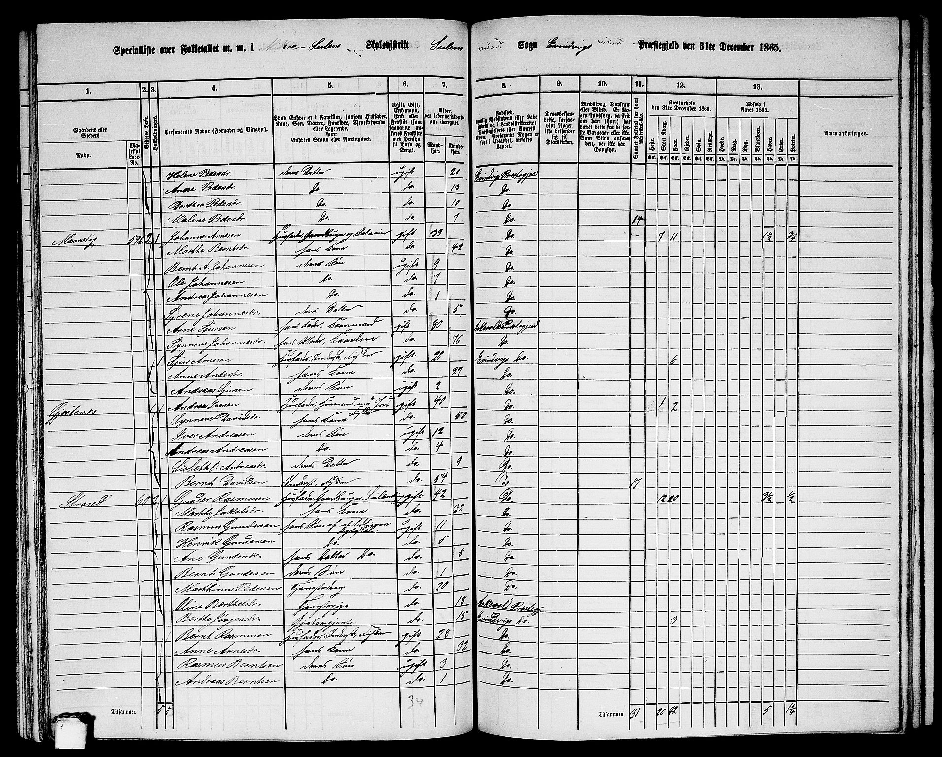 RA, 1865 census for Eivindvik, 1865, p. 171