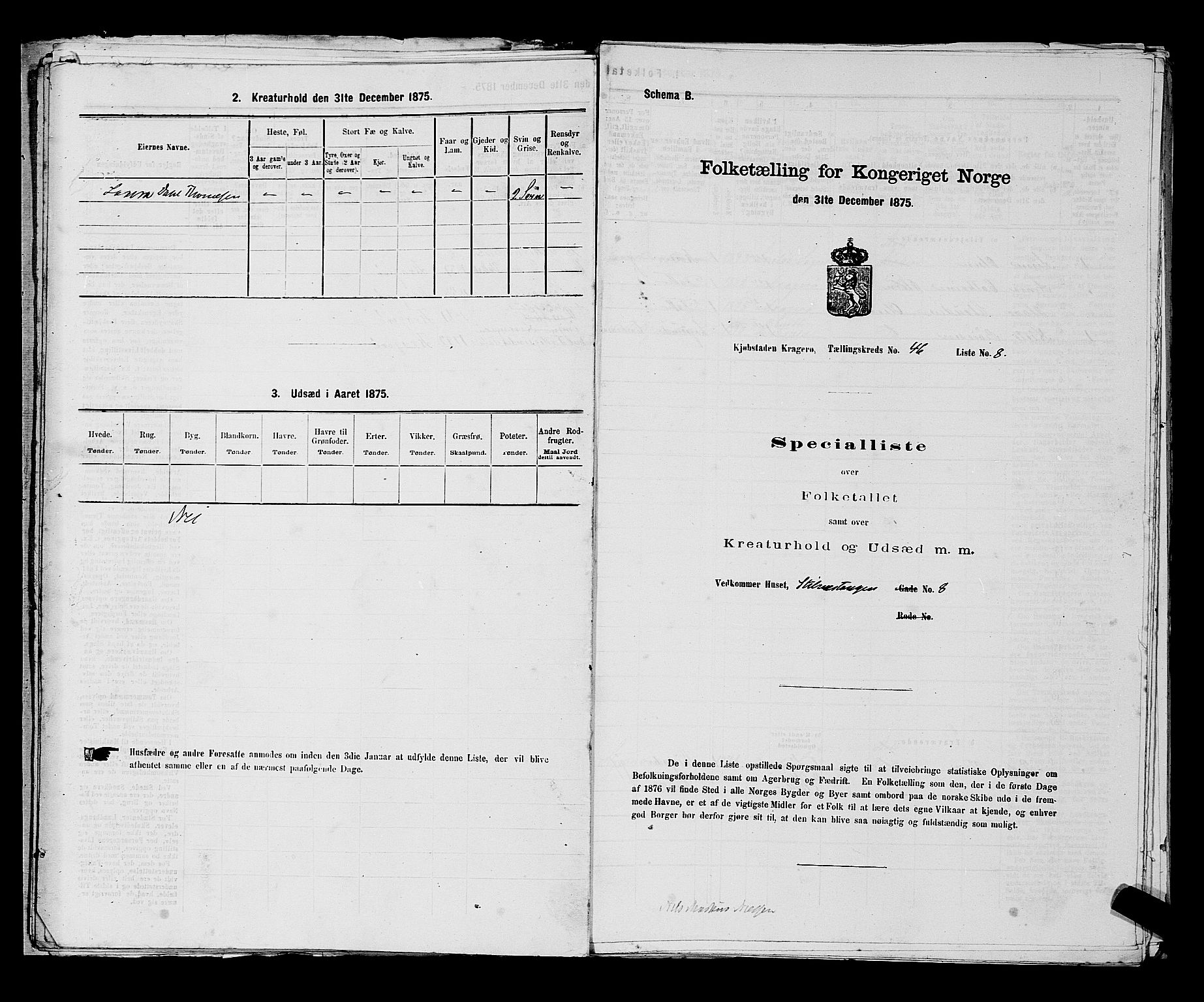 SAKO, 1875 census for 0801P Kragerø, 1875, p. 1028