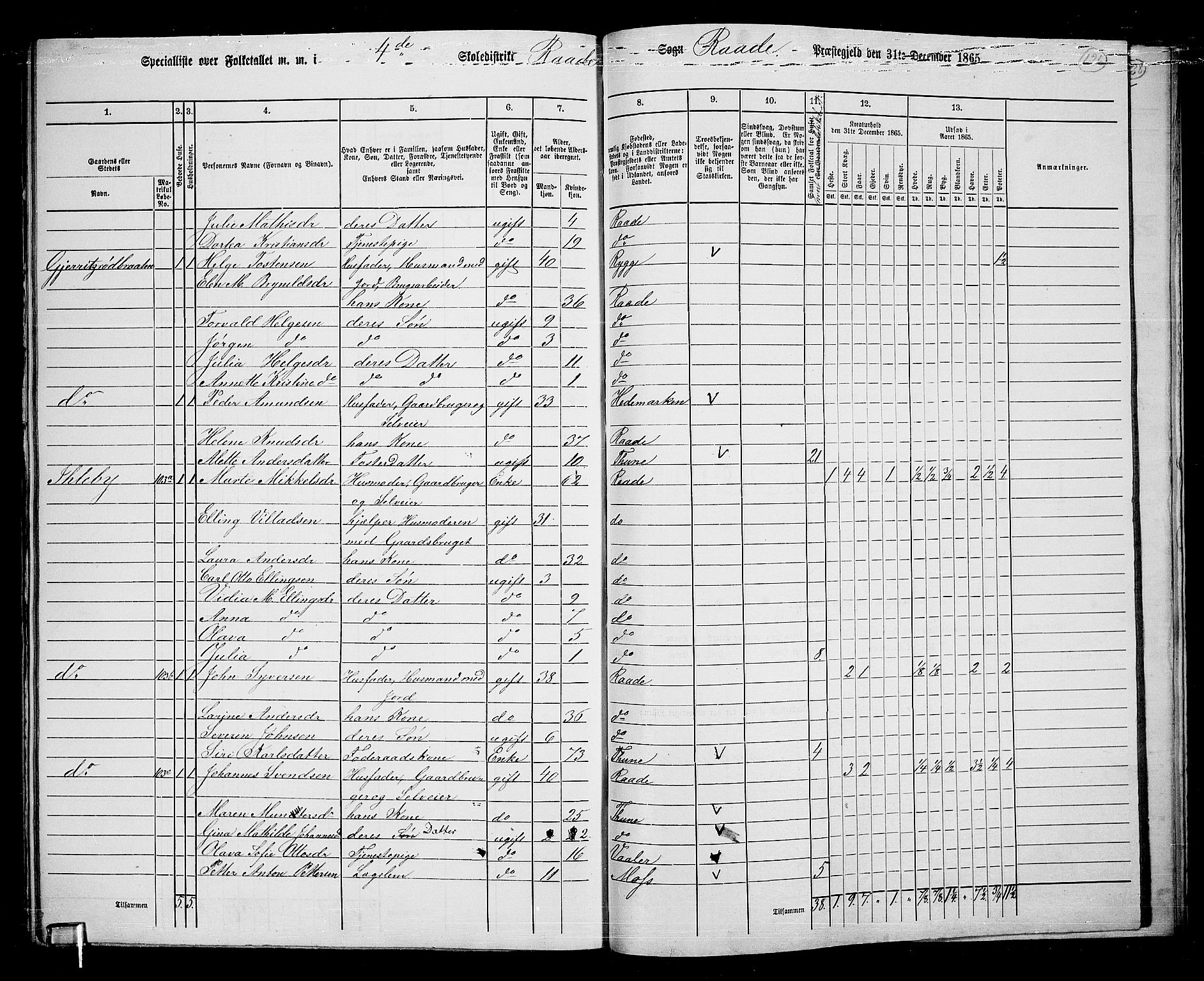 RA, 1865 census for Råde, 1865, p. 113