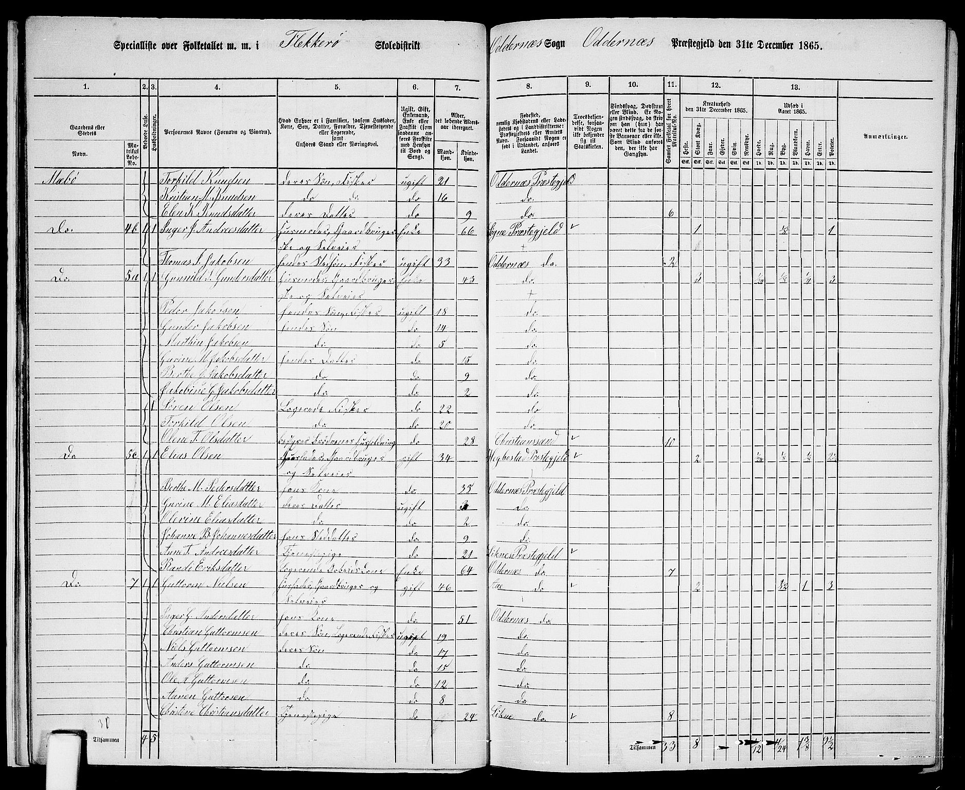 RA, 1865 census for Oddernes, 1865, p. 19