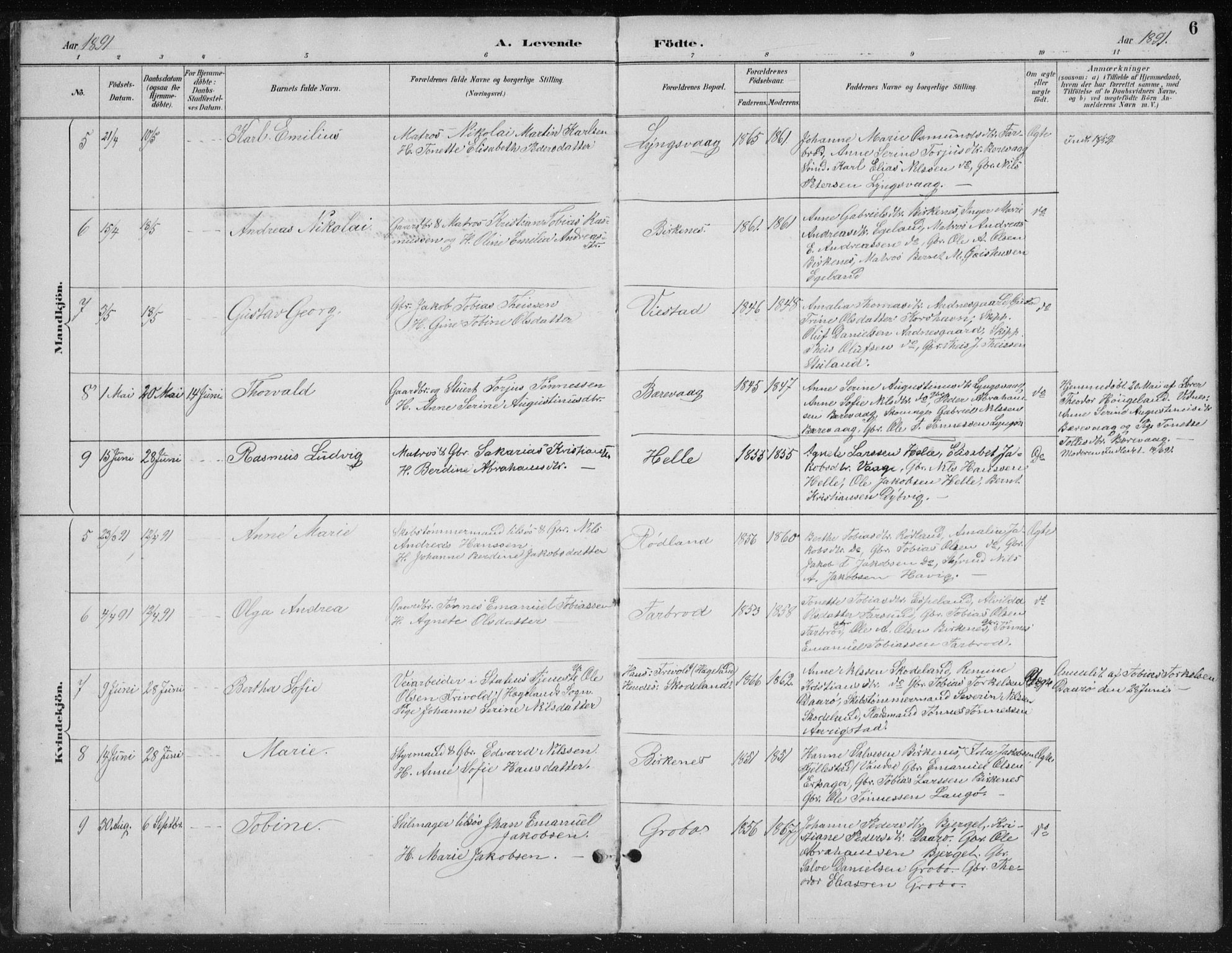 Herad sokneprestkontor, SAK/1111-0018/F/Fb/Fbb/L0004: Parish register (copy) no. B 4, 1890-1935, p. 6