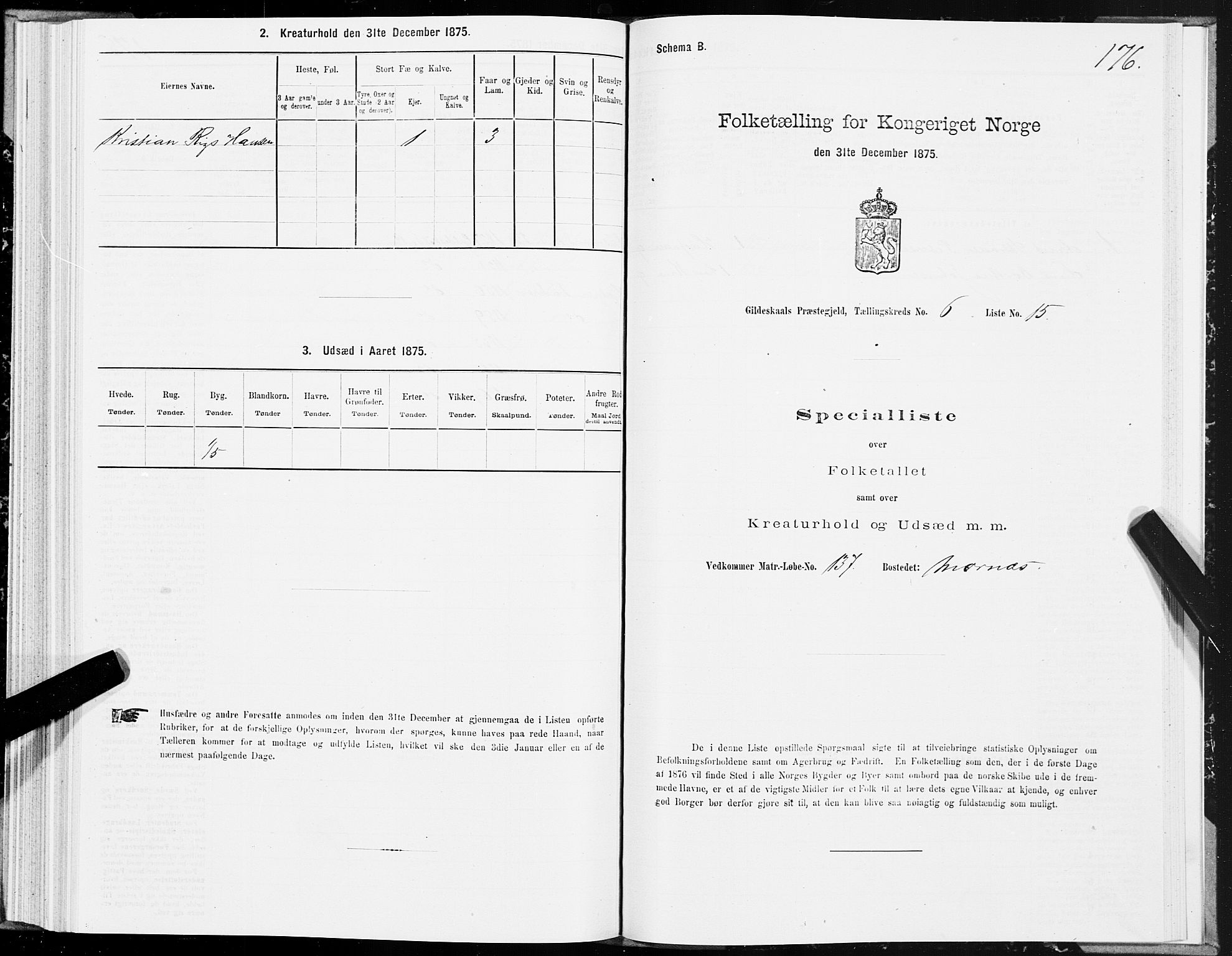 SAT, 1875 census for 1838P Gildeskål, 1875, p. 3176
