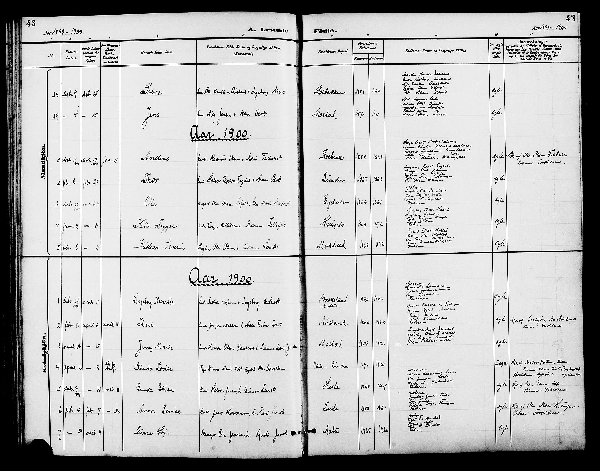 Gjerstad sokneprestkontor, SAK/1111-0014/F/Fb/Fba/L0007: Parish register (copy) no. B 7, 1891-1908, p. 43