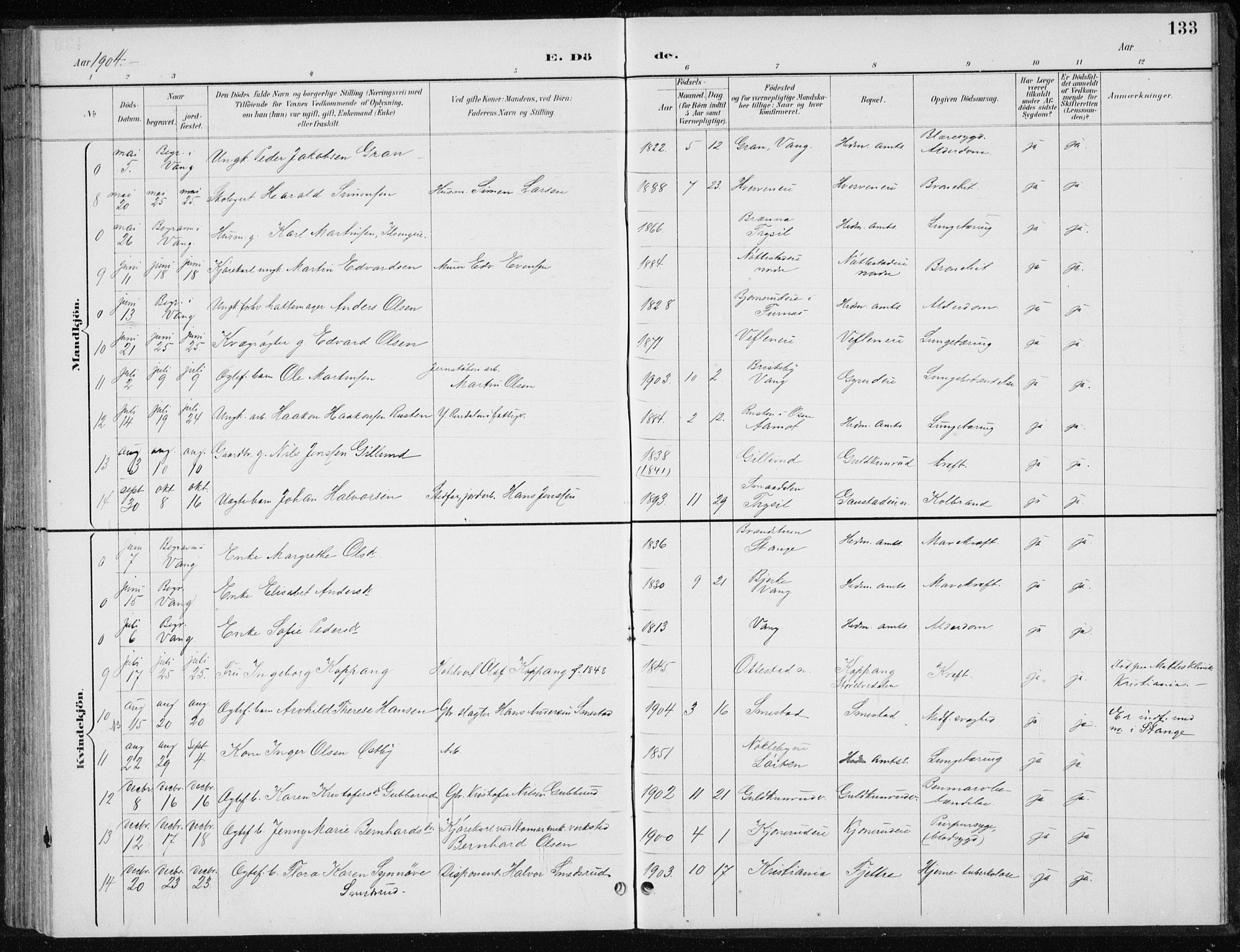 Stange prestekontor, SAH/PREST-002/L/L0010: Parish register (copy) no. 10, 1894-1905, p. 133