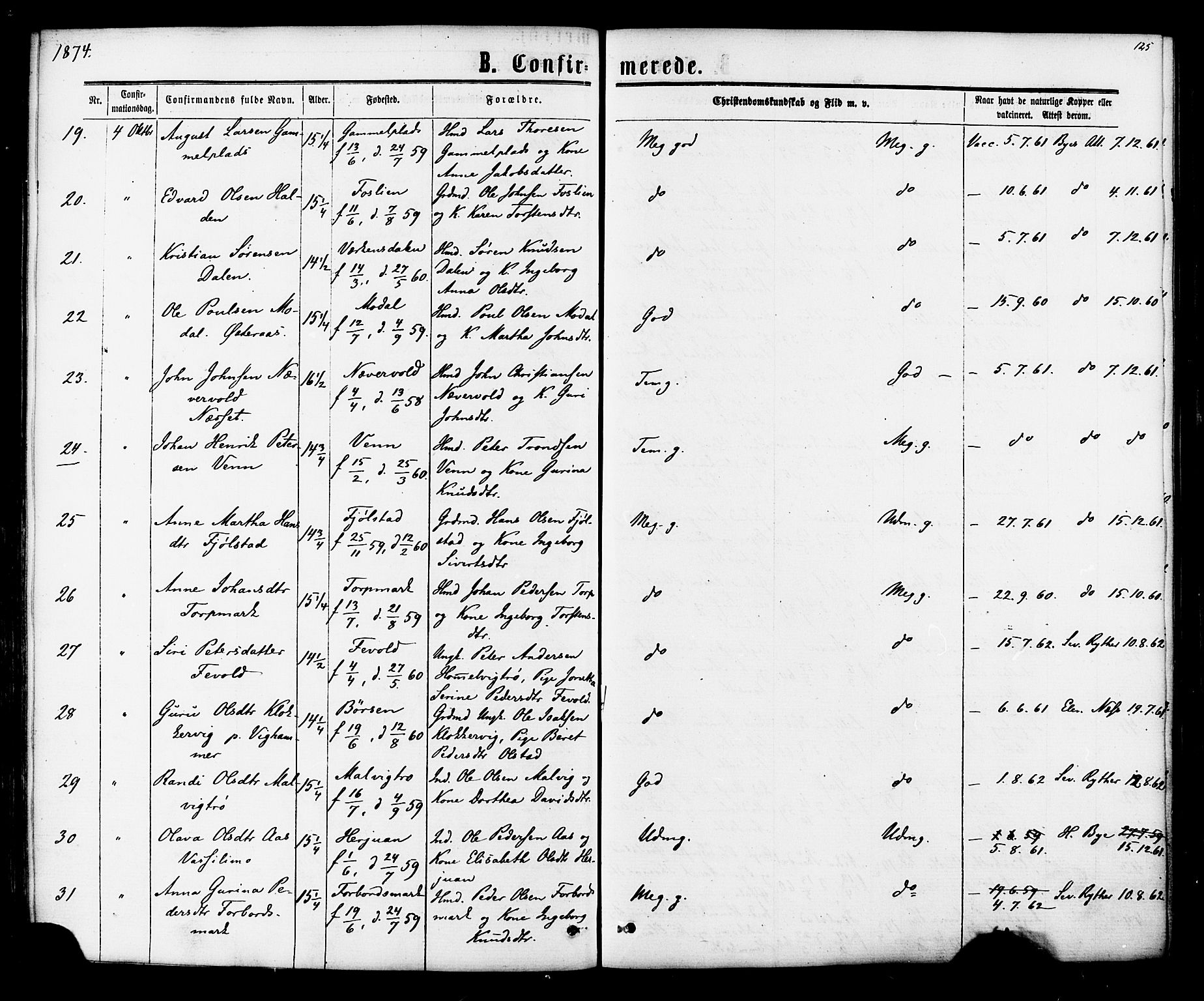 Ministerialprotokoller, klokkerbøker og fødselsregistre - Sør-Trøndelag, AV/SAT-A-1456/616/L0409: Parish register (official) no. 616A06, 1865-1877, p. 125