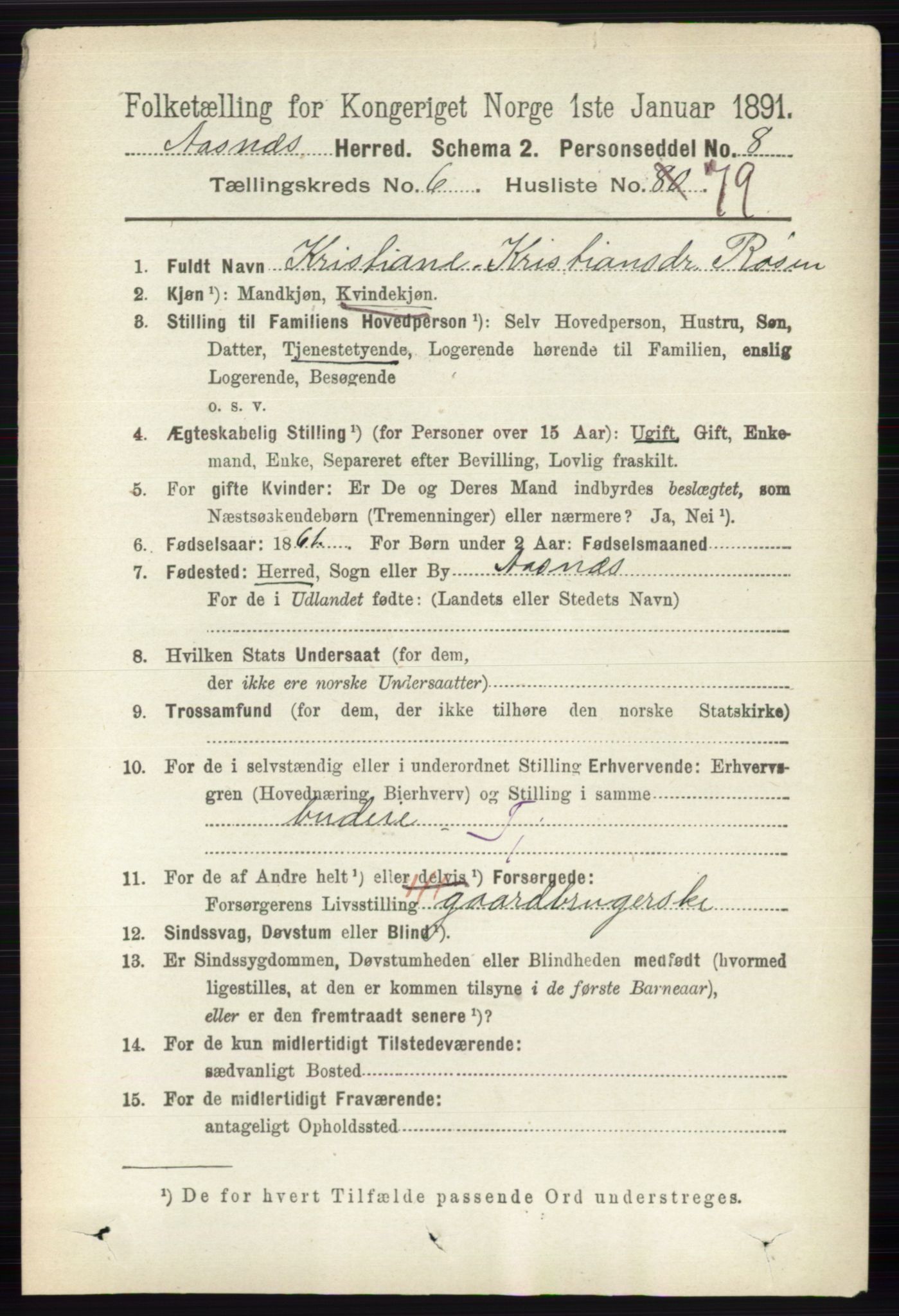 RA, 1891 census for 0425 Åsnes, 1891, p. 3225