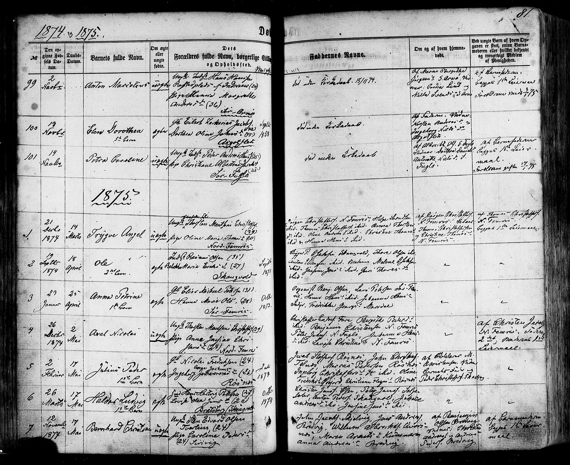 Ministerialprotokoller, klokkerbøker og fødselsregistre - Nordland, SAT/A-1459/805/L0098: Parish register (official) no. 805A05, 1862-1879, p. 81