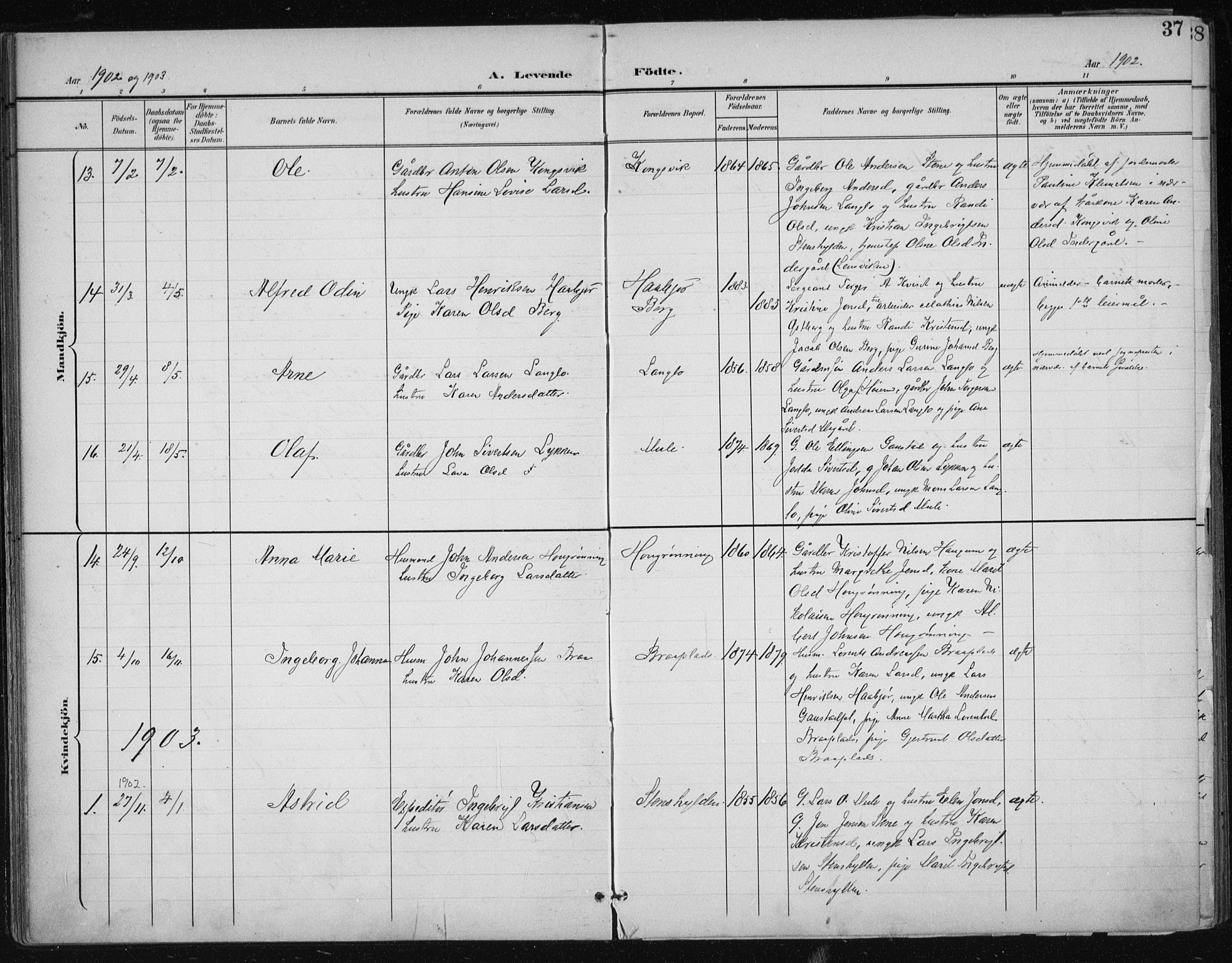 Ministerialprotokoller, klokkerbøker og fødselsregistre - Sør-Trøndelag, SAT/A-1456/612/L0380: Parish register (official) no. 612A12, 1898-1907, p. 37