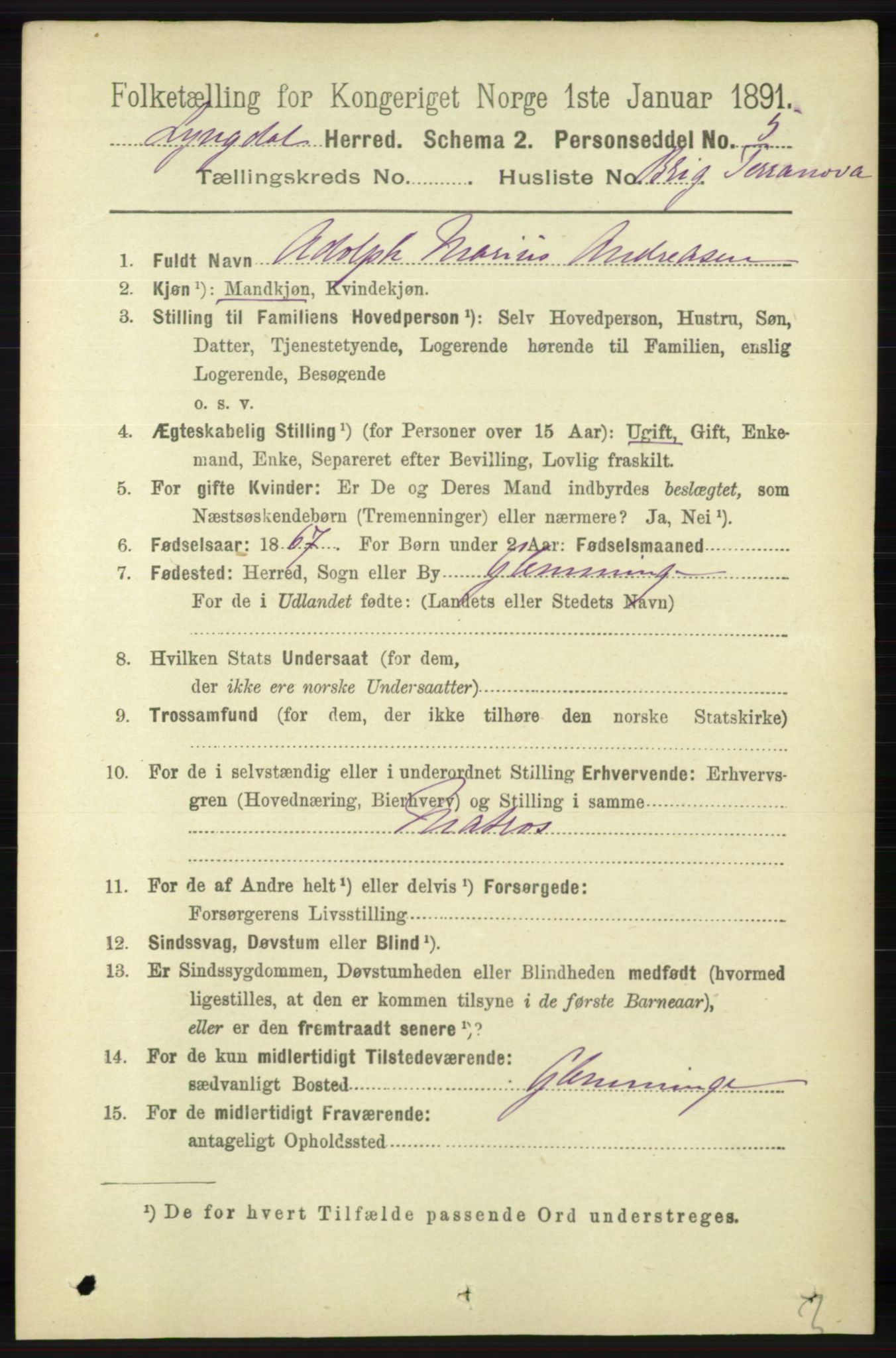 RA, 1891 census for 1032 Lyngdal, 1891, p. 6487