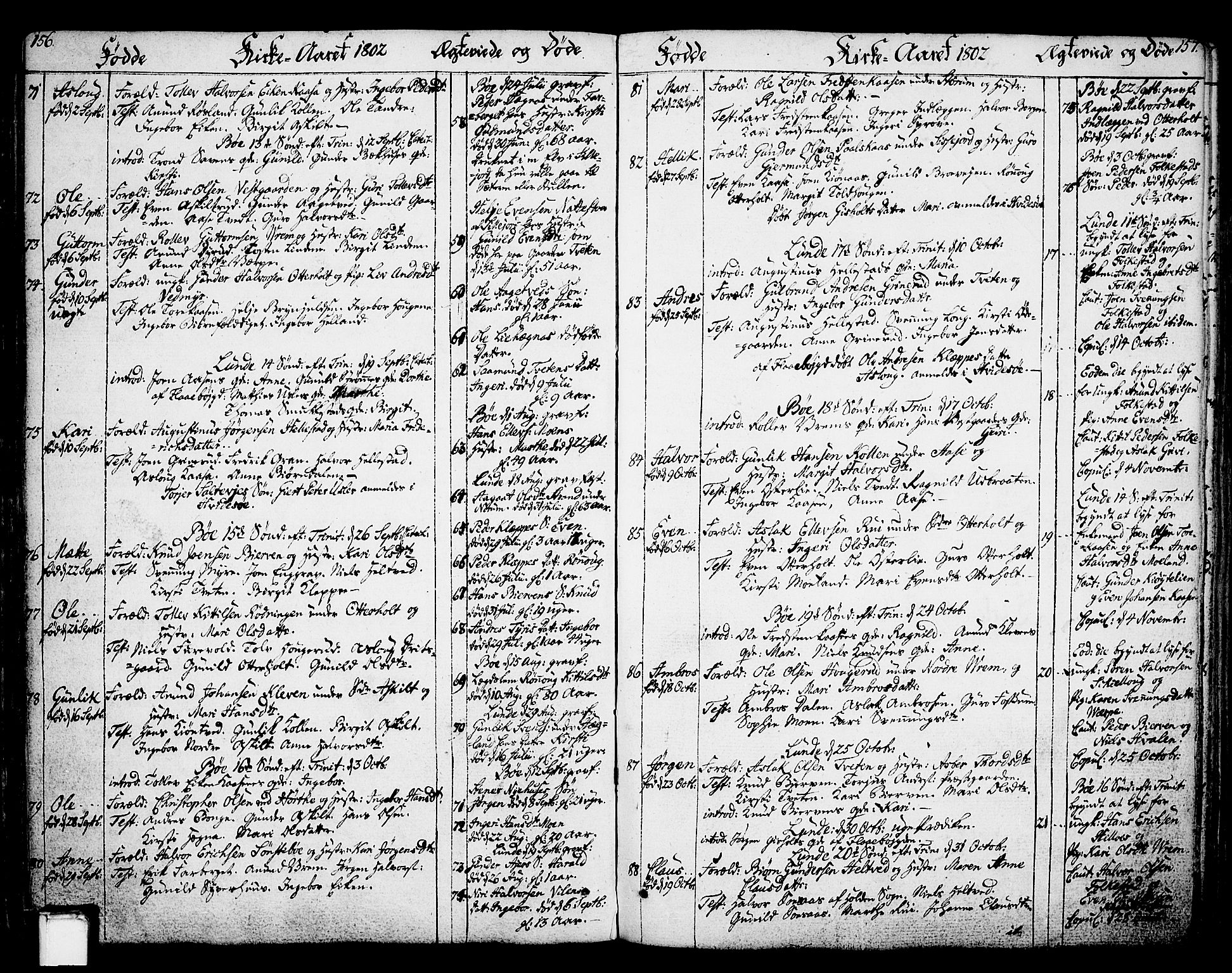 Bø kirkebøker, SAKO/A-257/F/Fa/L0005: Parish register (official) no. 5, 1785-1815, p. 156-157