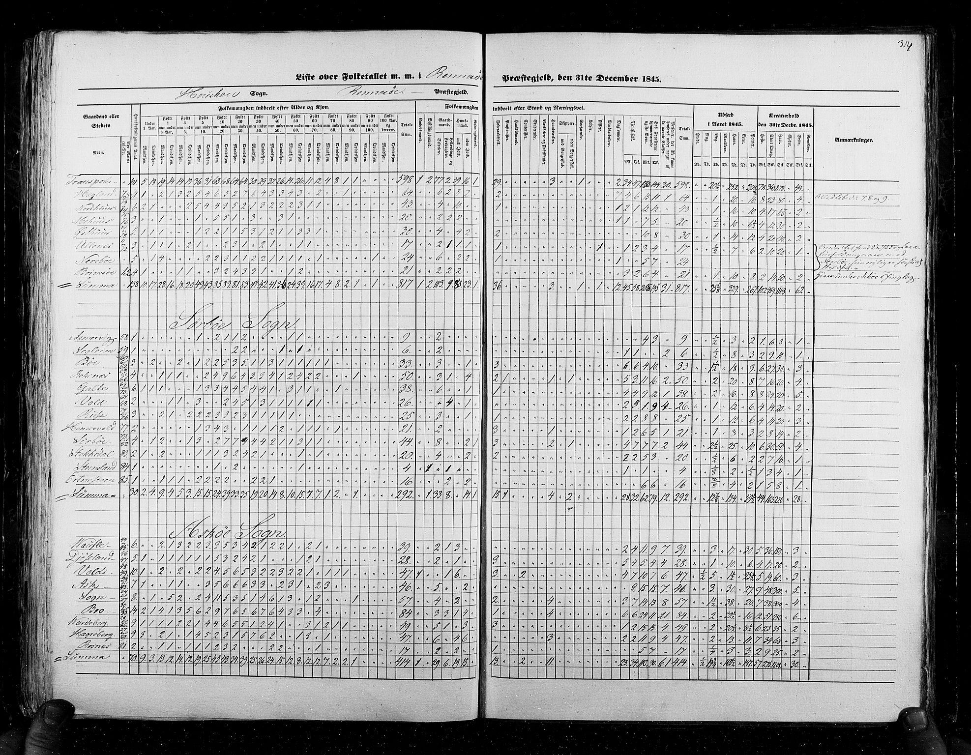 RA, Census 1845, vol. 6: Lister og Mandal amt og Stavanger amt, 1845, p. 314