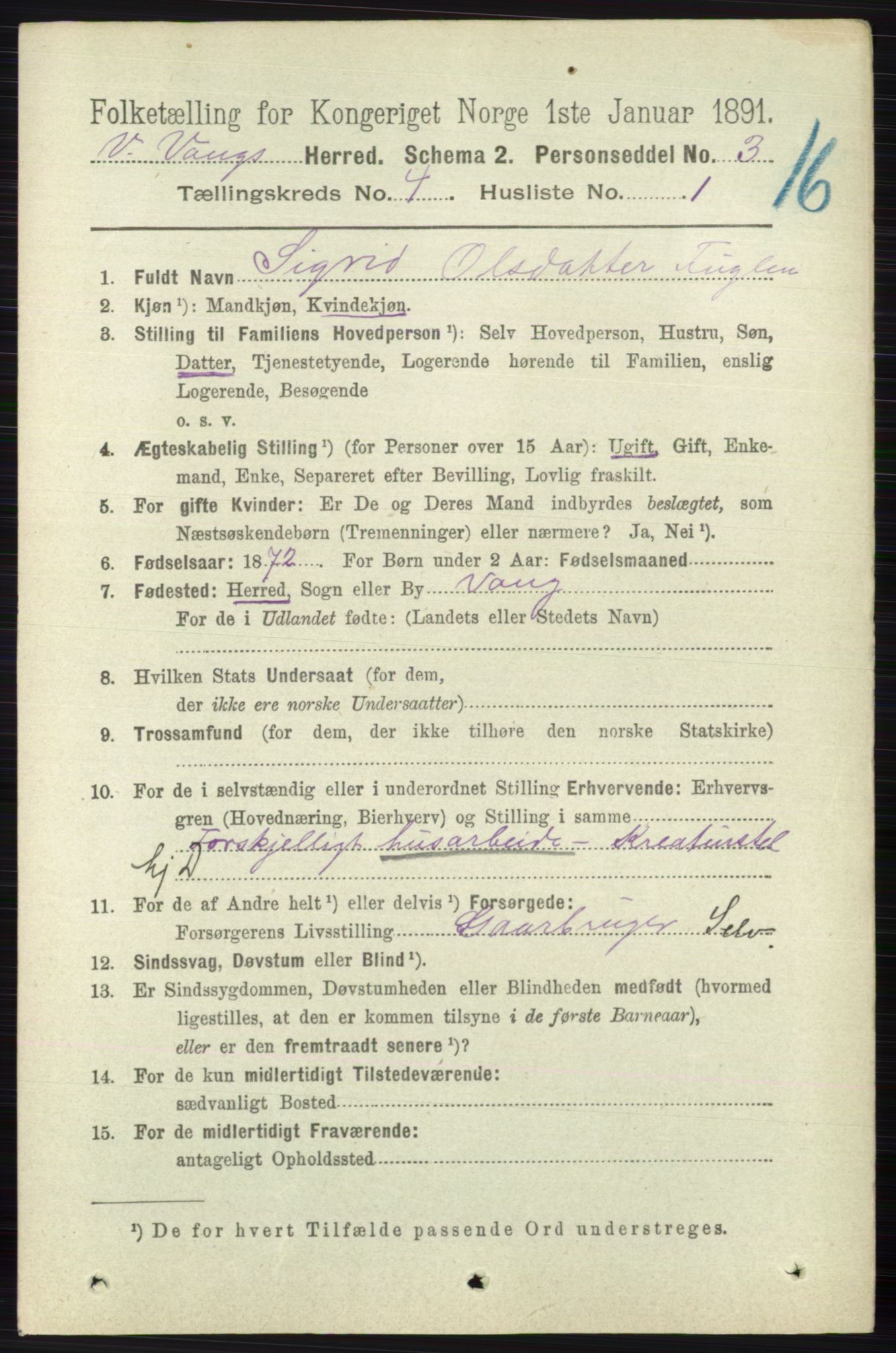 RA, 1891 census for 0545 Vang, 1891, p. 896