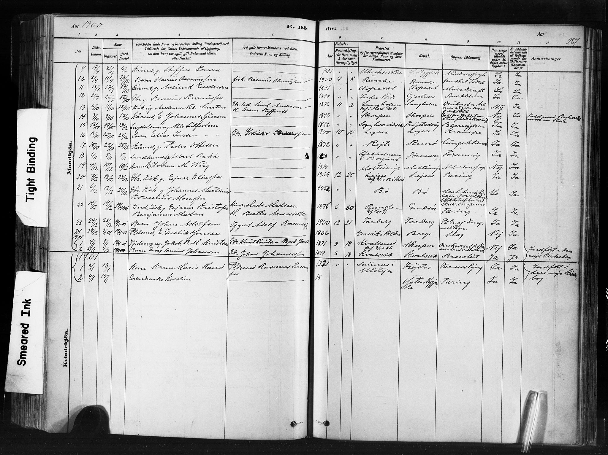 Ministerialprotokoller, klokkerbøker og fødselsregistre - Møre og Romsdal, SAT/A-1454/507/L0073: Parish register (official) no. 507A08, 1878-1904, p. 287