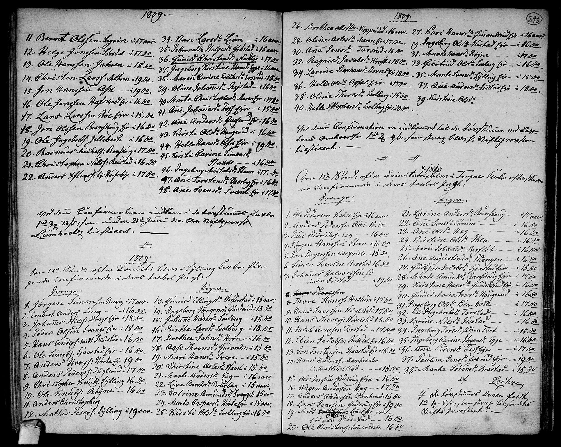 Lier kirkebøker, SAKO/A-230/F/Fa/L0007: Parish register (official) no. I 7, 1794-1813, p. 393