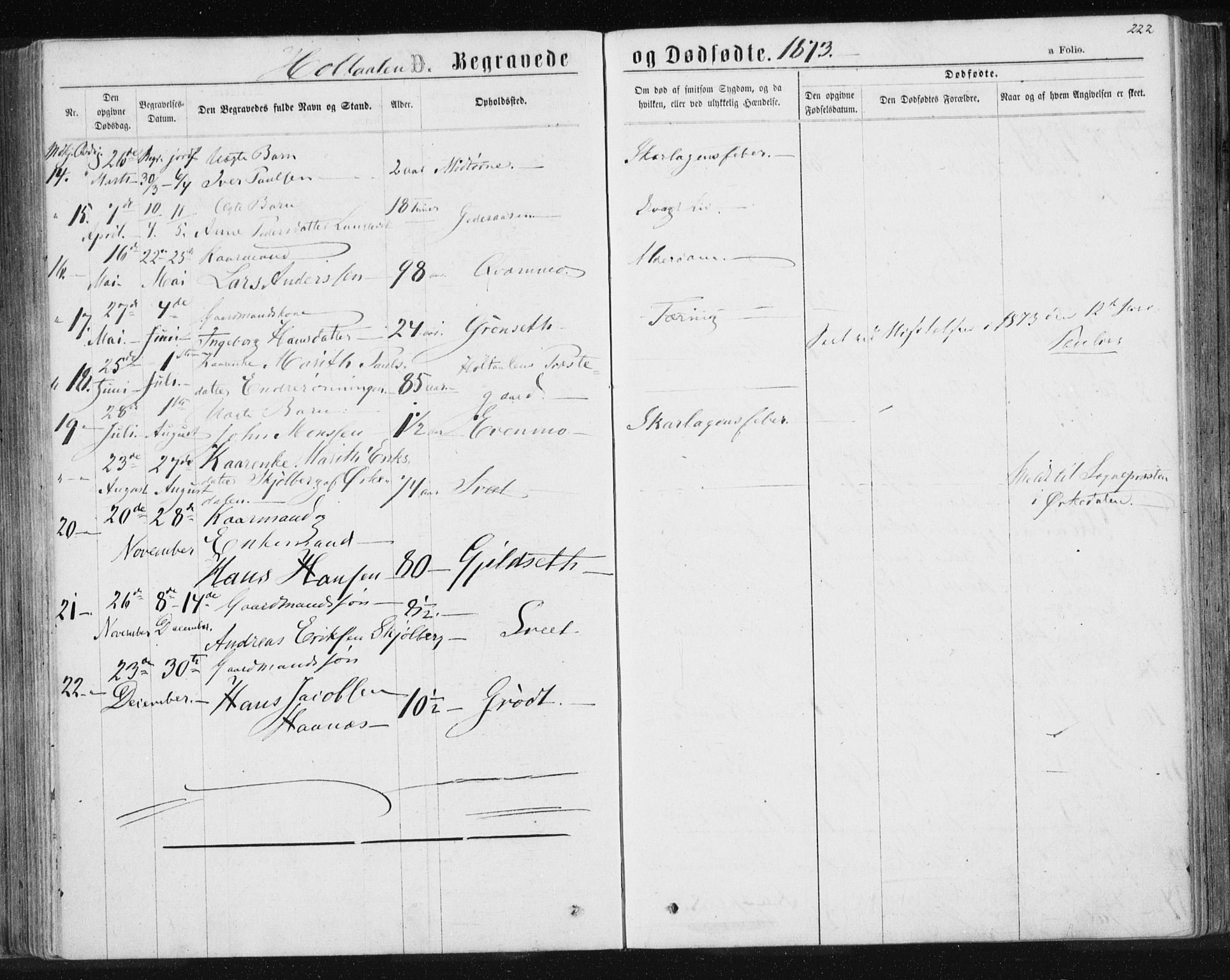 Ministerialprotokoller, klokkerbøker og fødselsregistre - Sør-Trøndelag, SAT/A-1456/685/L0969: Parish register (official) no. 685A08 /1, 1870-1878, p. 222