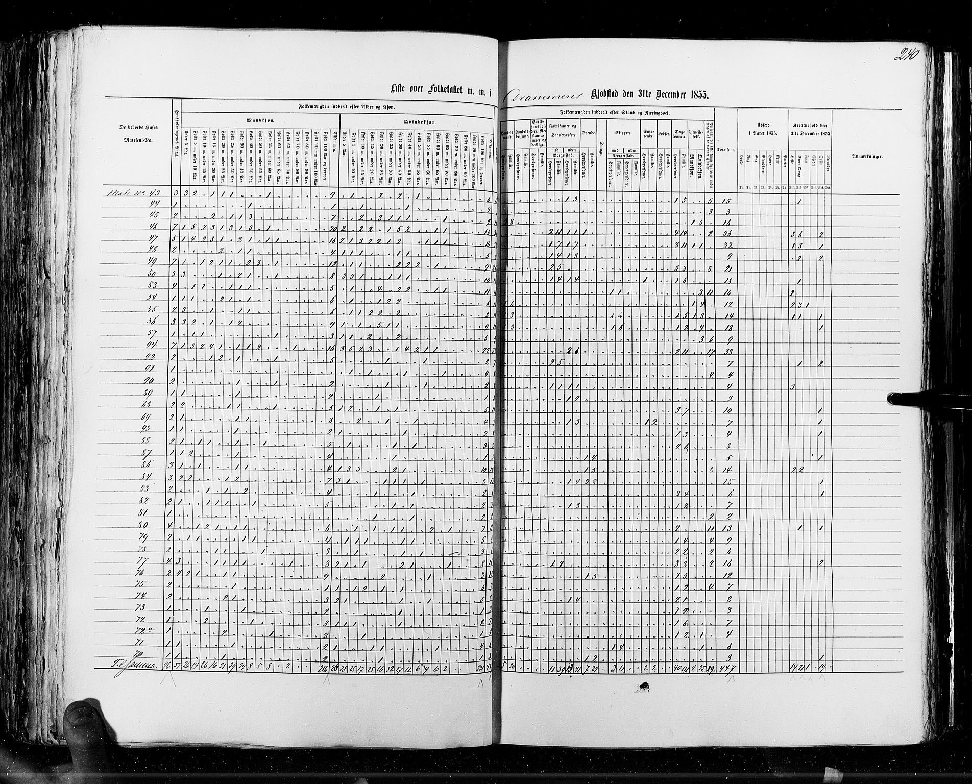 RA, Census 1855, vol. 7: Fredrikshald-Kragerø, 1855, p. 240