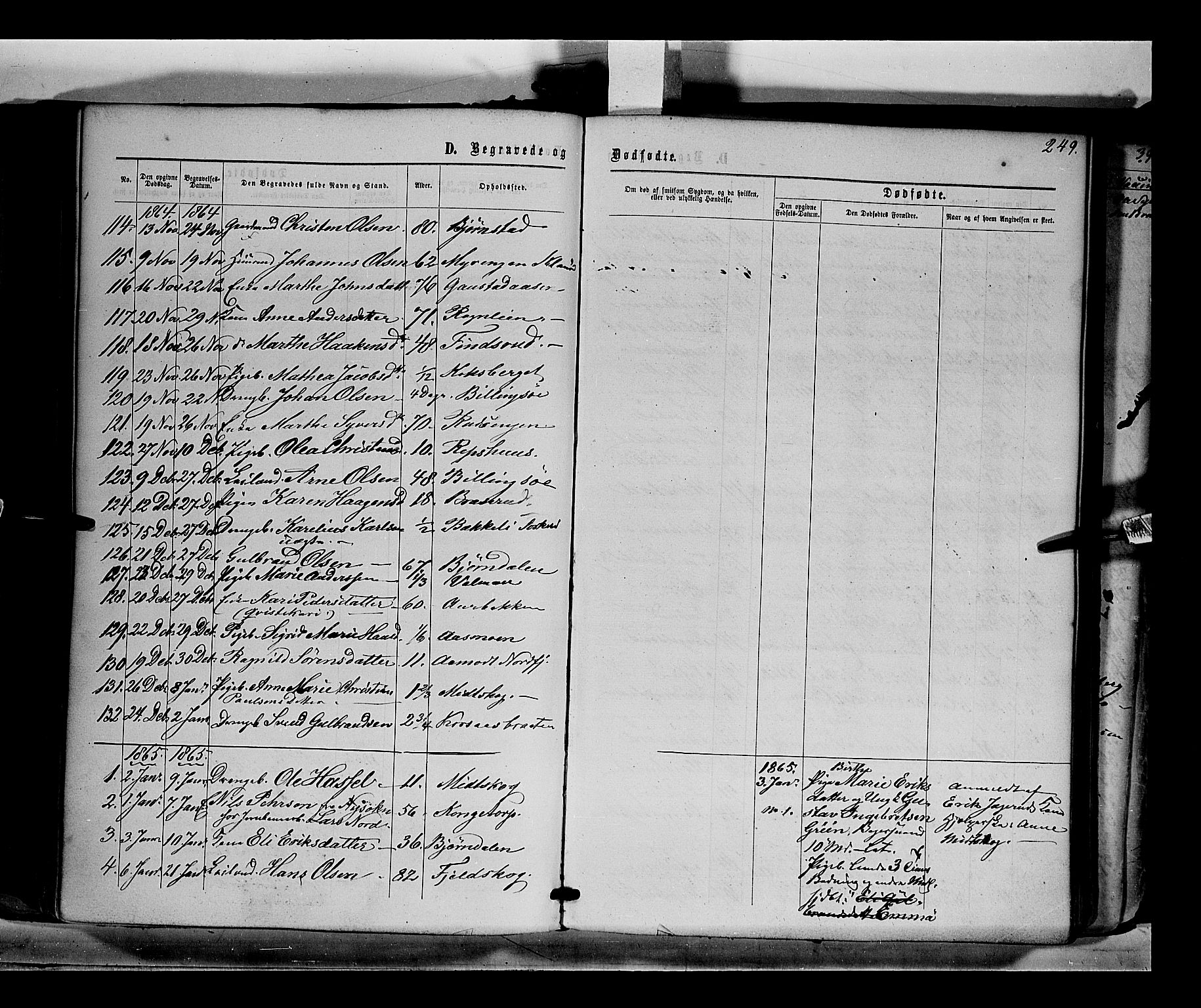 Eidskog prestekontor, AV/SAH-PREST-026/H/Ha/Haa/L0001: Parish register (official) no. 1, 1860-1867, p. 249