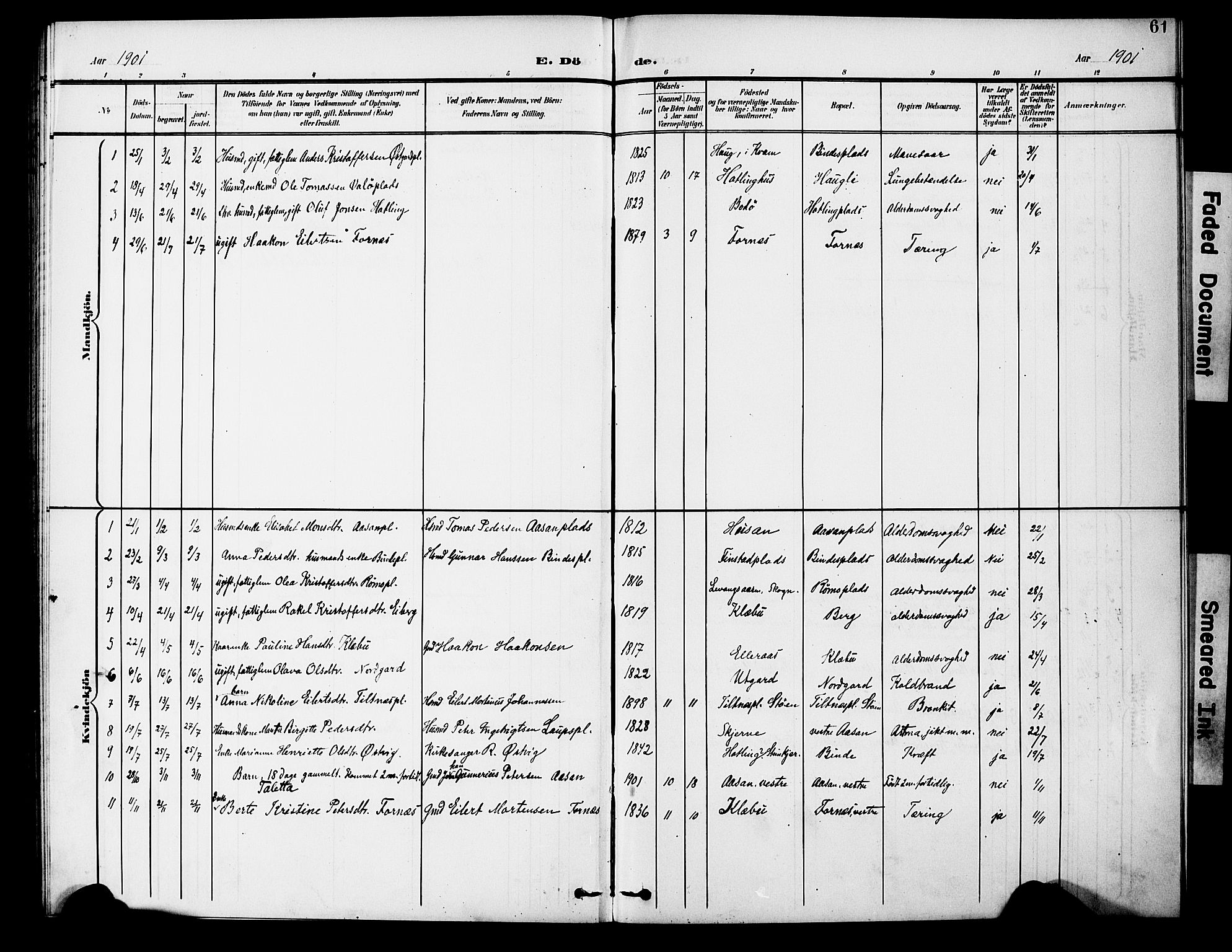 Ministerialprotokoller, klokkerbøker og fødselsregistre - Nord-Trøndelag, SAT/A-1458/746/L0452: Parish register (official) no. 746A09, 1900-1908, p. 61