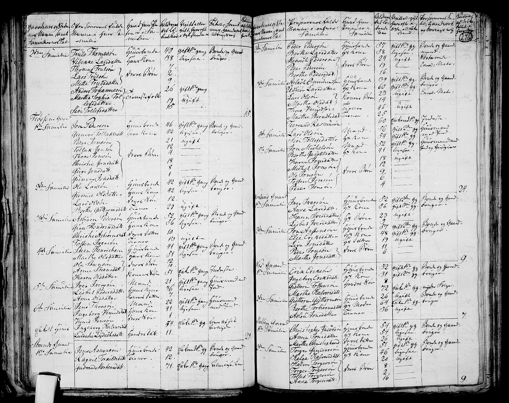 RA, 1801 census for 1130P Strand, 1801, p. 275b-276a