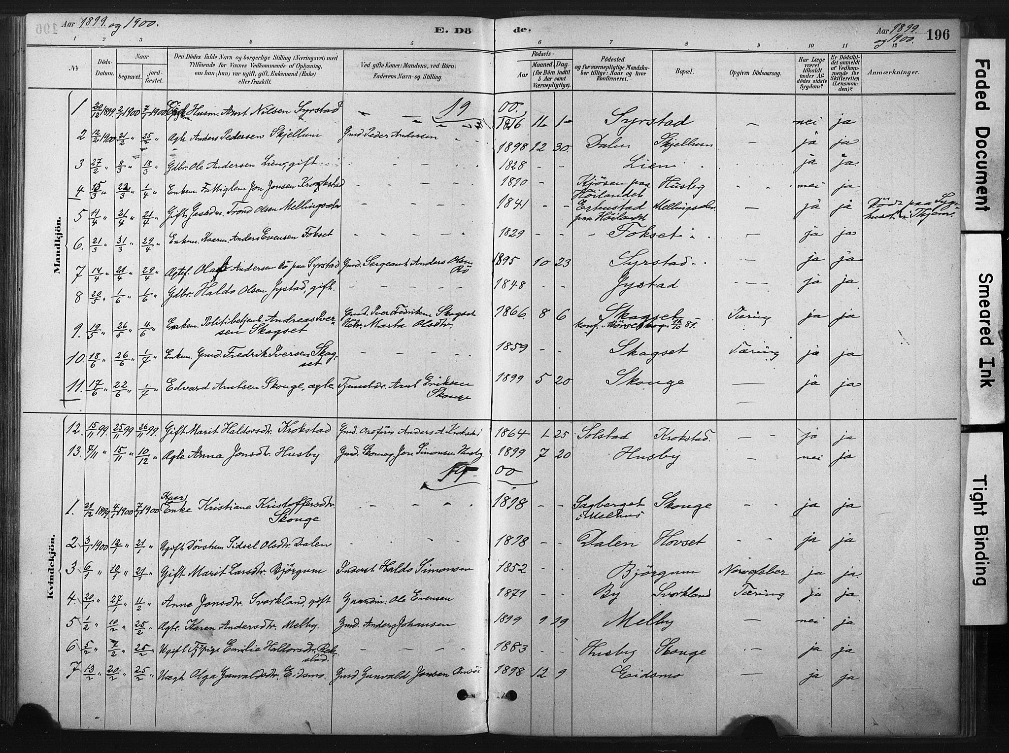 Ministerialprotokoller, klokkerbøker og fødselsregistre - Sør-Trøndelag, SAT/A-1456/667/L0795: Parish register (official) no. 667A03, 1879-1907, p. 196