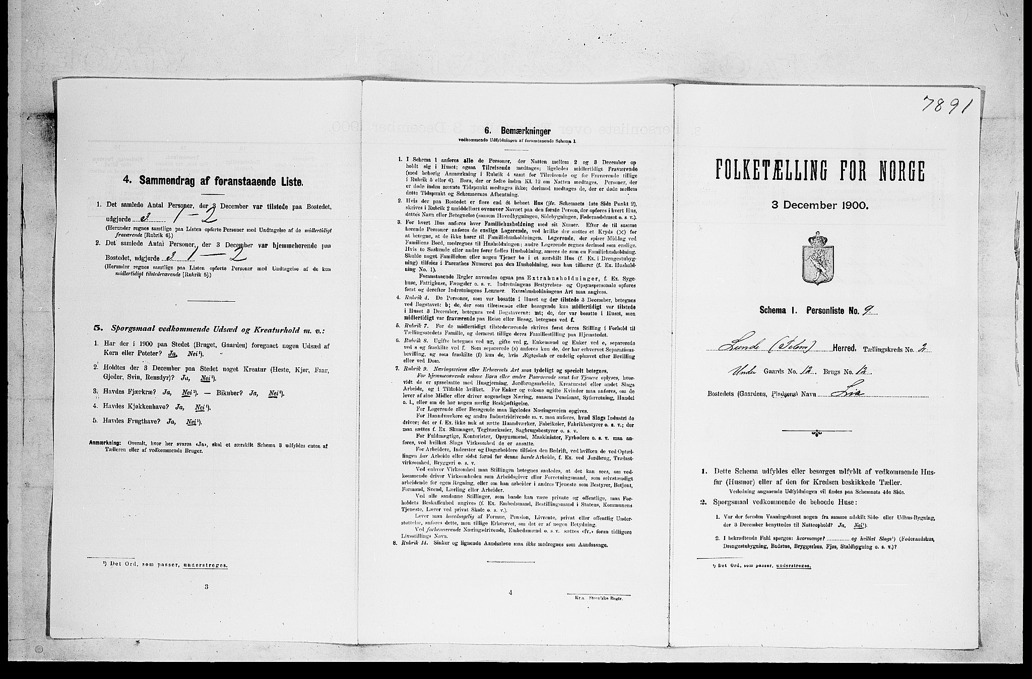 SAKO, 1900 census for Lunde, 1900, p. 173