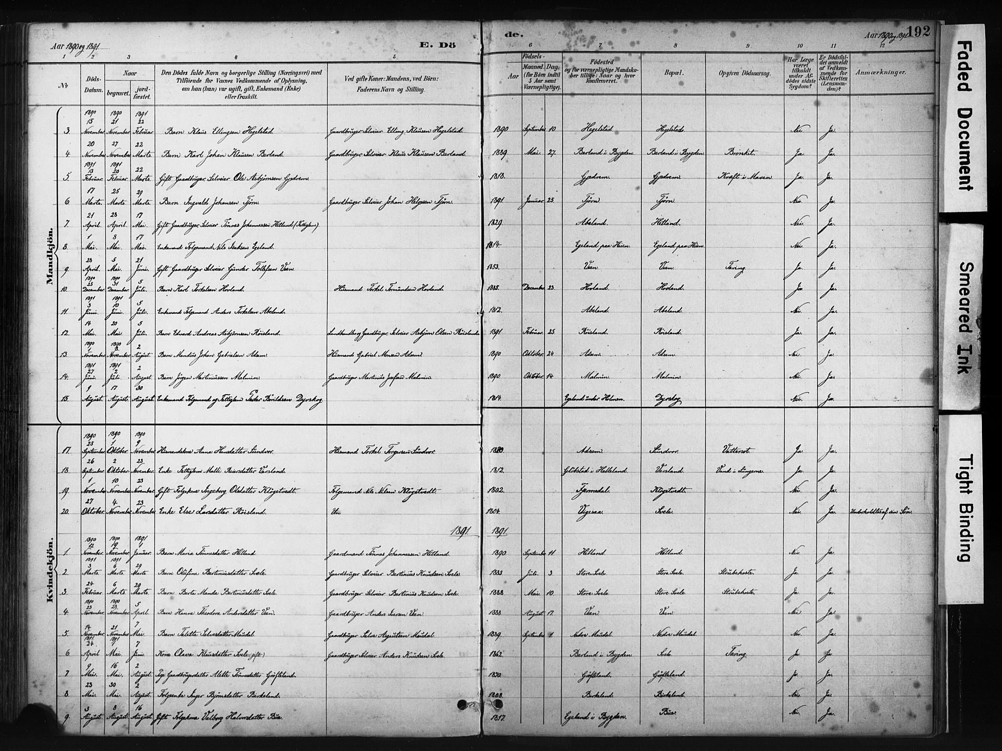 Helleland sokneprestkontor, AV/SAST-A-101810: Parish register (official) no. A 9, 1887-1908, p. 192