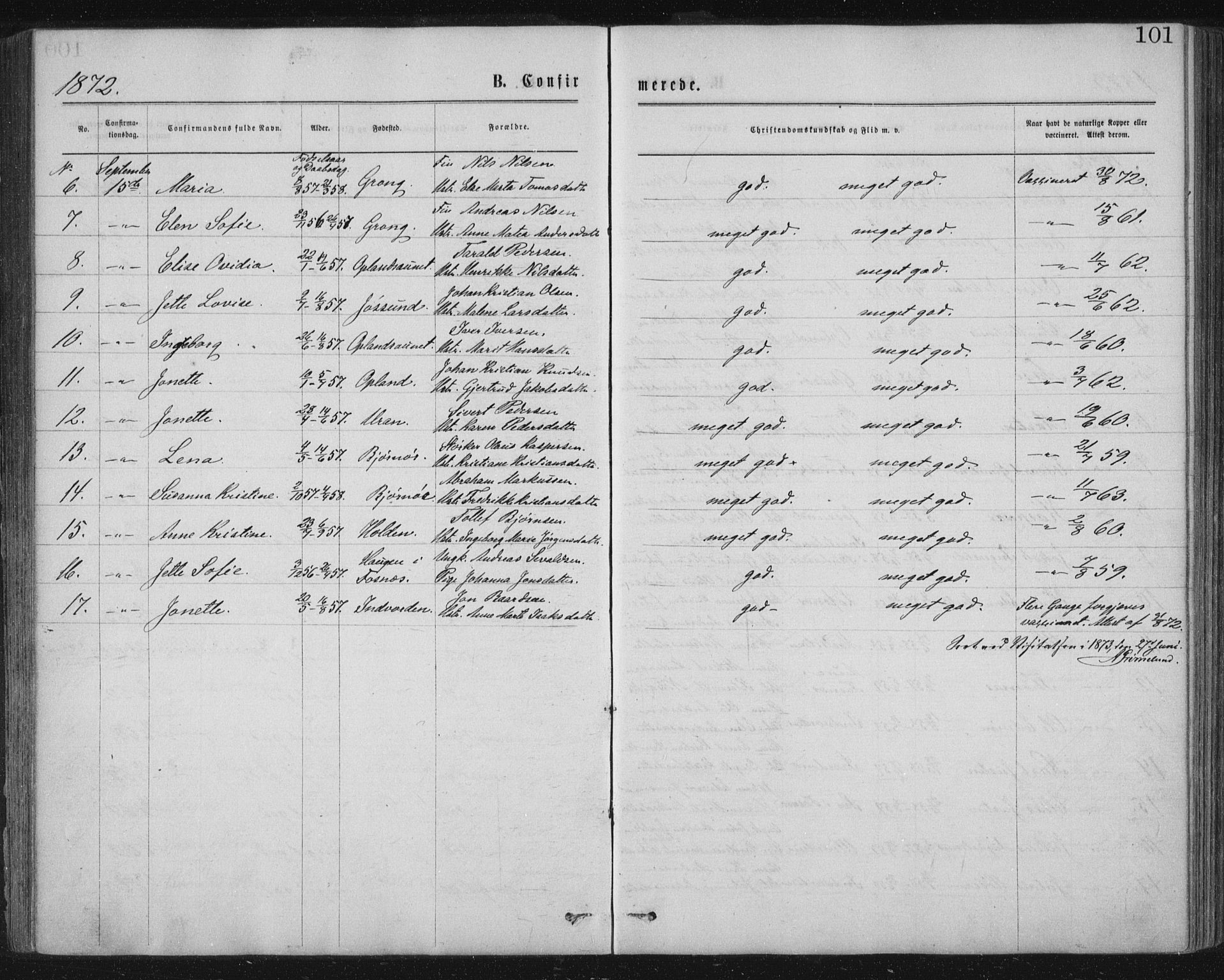 Ministerialprotokoller, klokkerbøker og fødselsregistre - Nord-Trøndelag, AV/SAT-A-1458/771/L0596: Parish register (official) no. 771A03, 1870-1884, p. 101