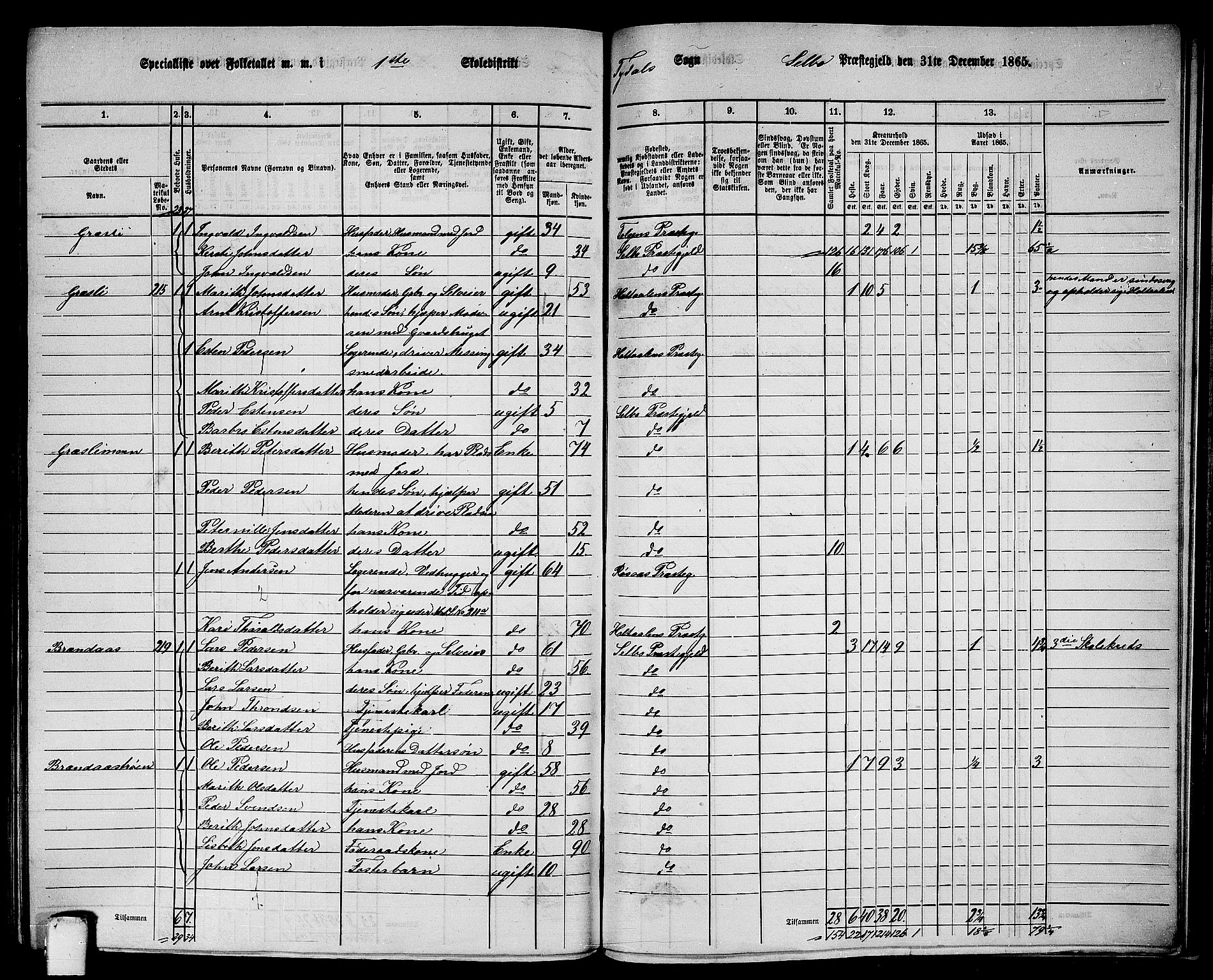 RA, 1865 census for Selbu, 1865, p. 227