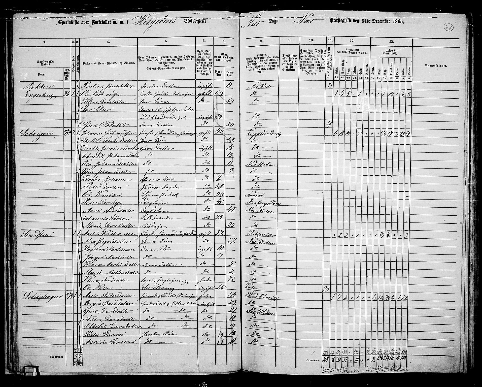 RA, 1865 census for Nes, 1865, p. 41