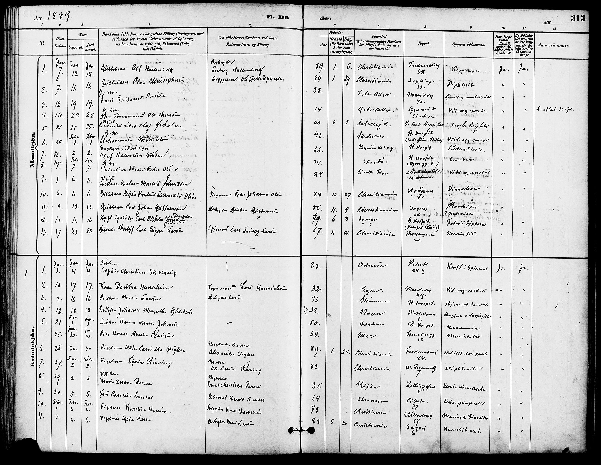 Gamle Aker prestekontor Kirkebøker, SAO/A-10617a/F/L0008: Parish register (official) no. 8, 1887-1896, p. 313