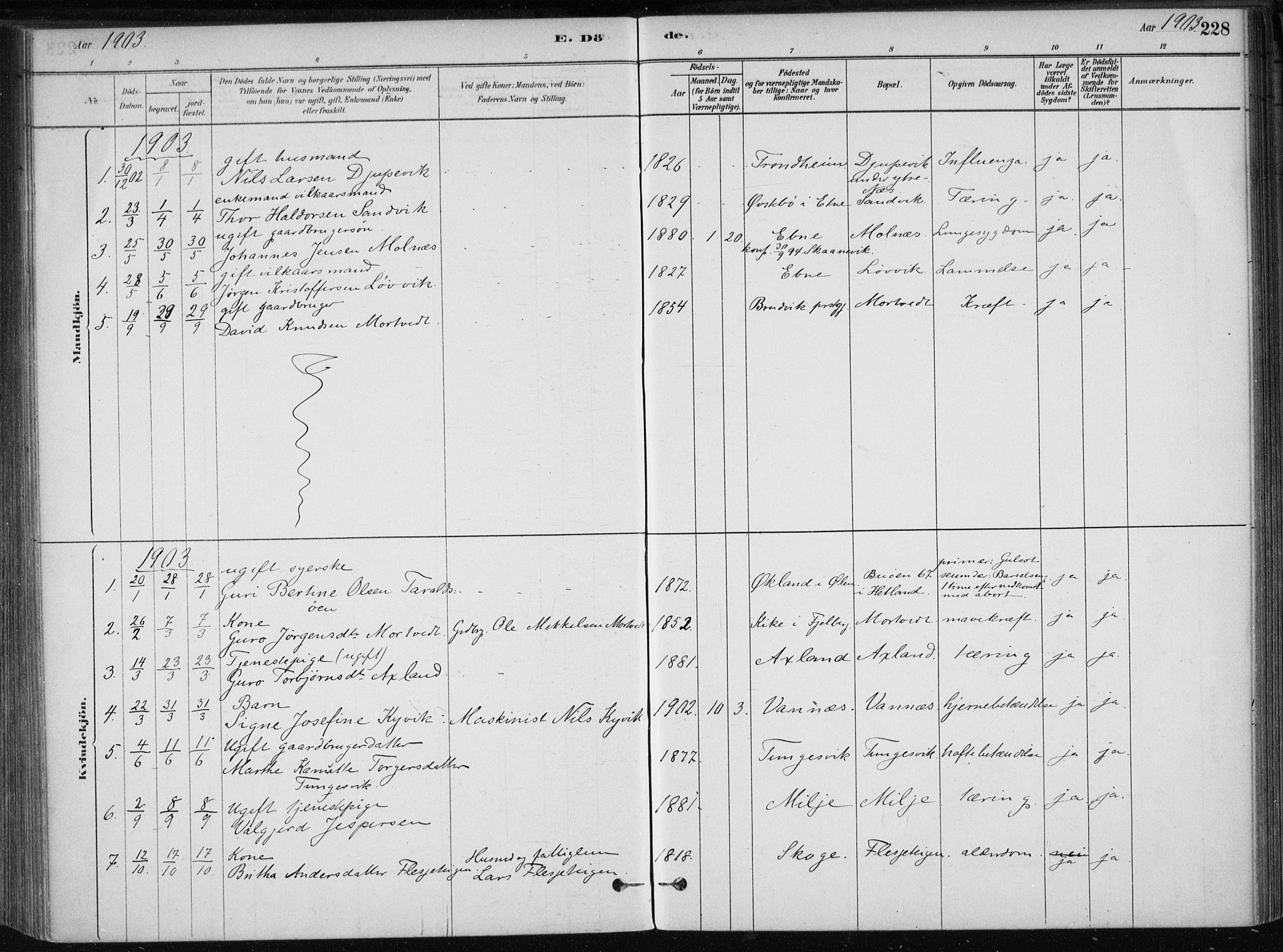 Skånevik sokneprestembete, SAB/A-77801/H/Haa: Parish register (official) no. B 1, 1879-1914, p. 228
