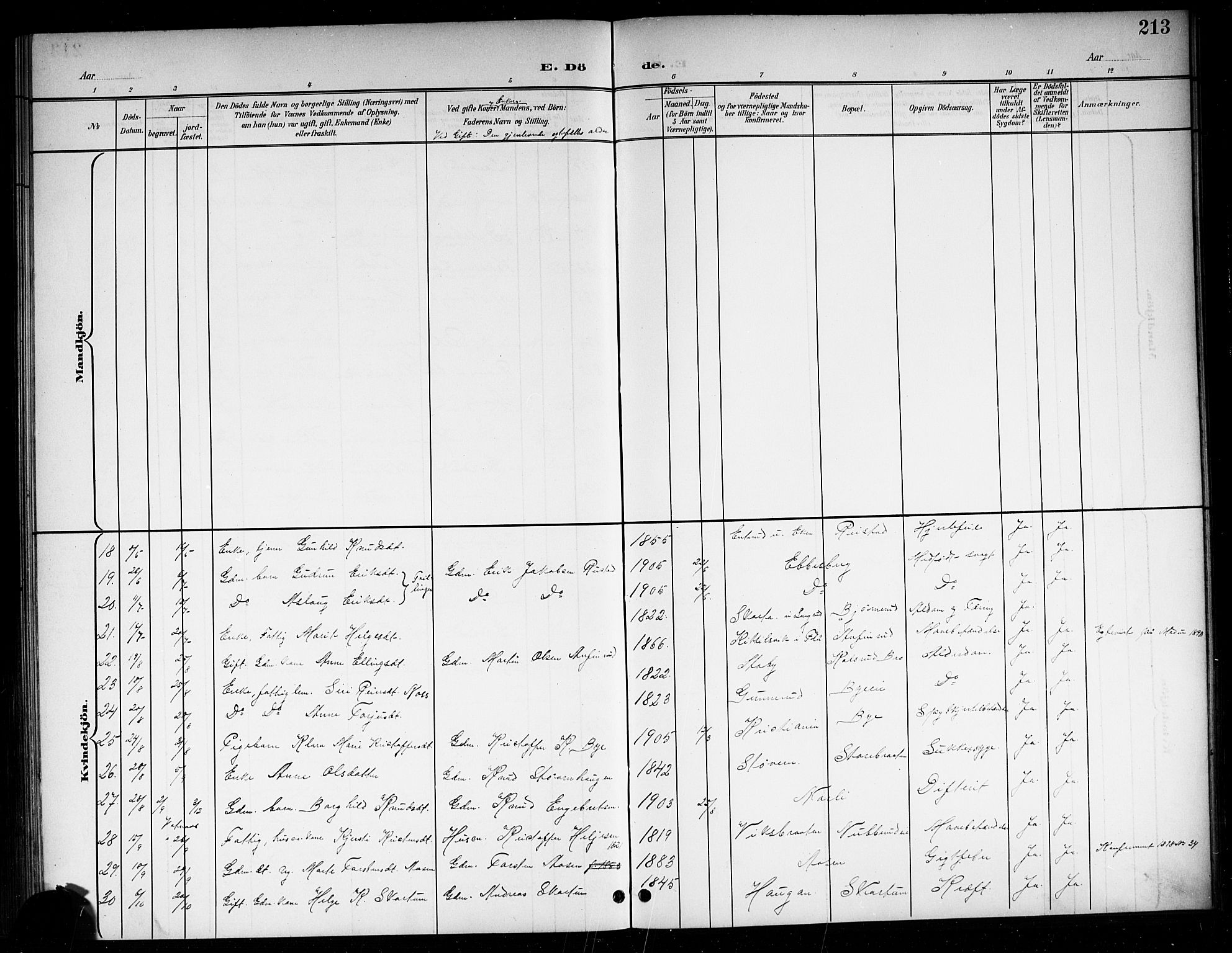 Sigdal kirkebøker, AV/SAKO-A-245/G/Ga/L0006: Parish register (copy) no. I 6, 1901-1916, p. 213