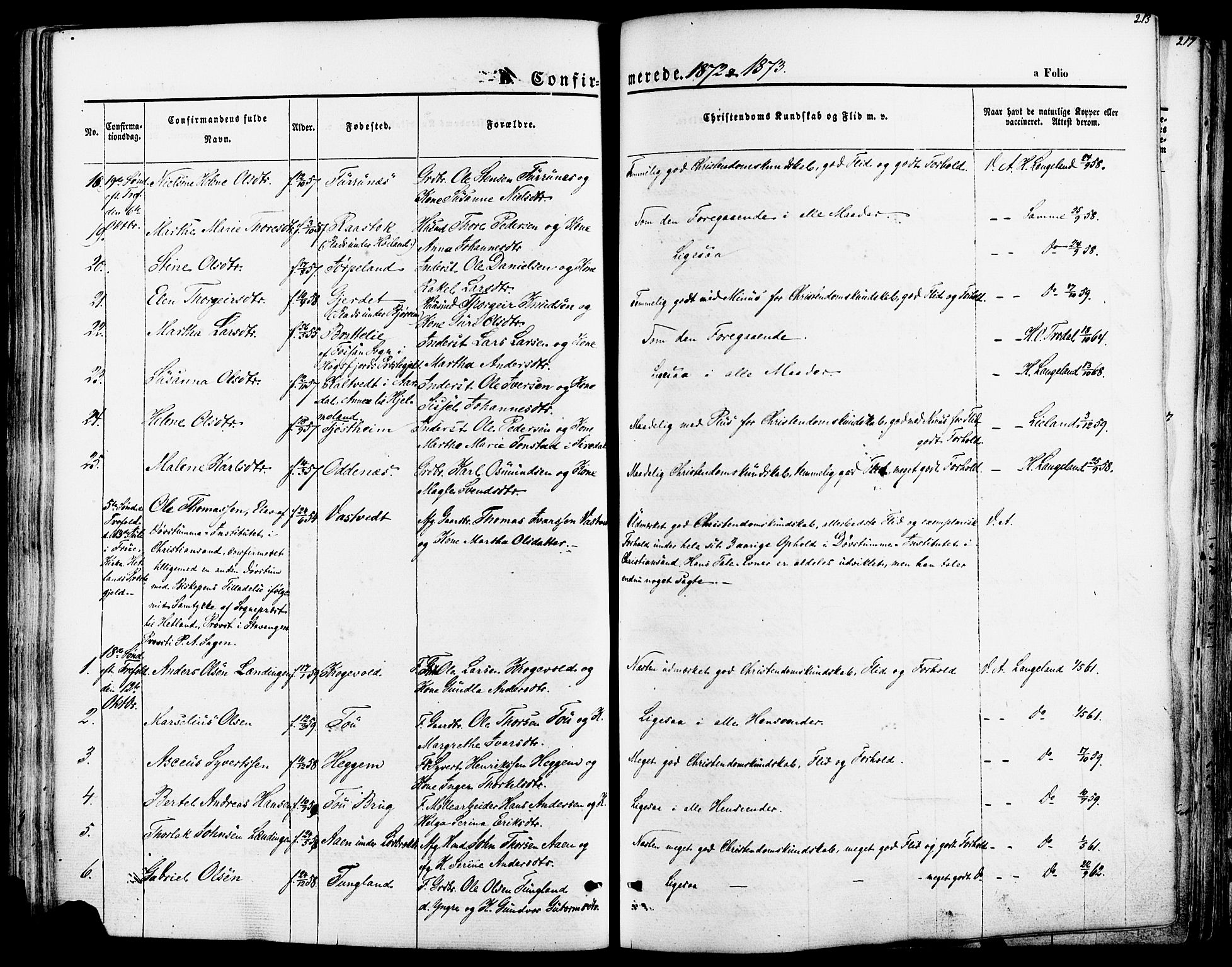 Strand sokneprestkontor, SAST/A-101828/H/Ha/Haa/L0007: Parish register (official) no. A 7, 1855-1881, p. 213