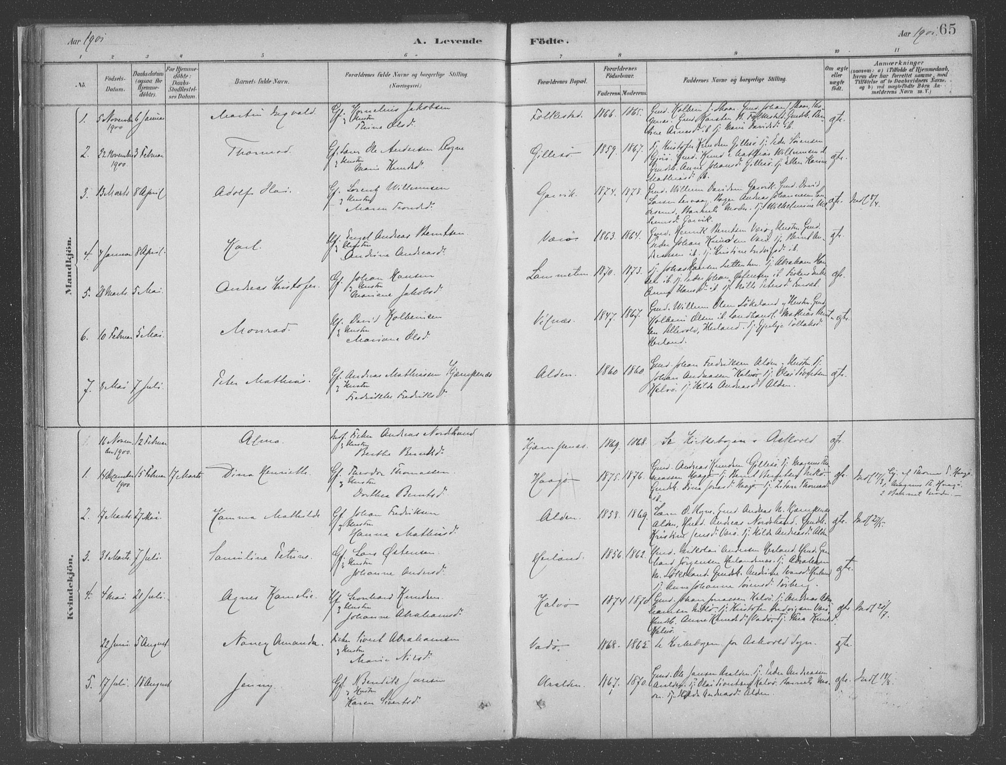 Askvoll sokneprestembete, SAB/A-79501/H/Haa/Haac/L0001: Parish register (official) no. C  1, 1879-1922, p. 65