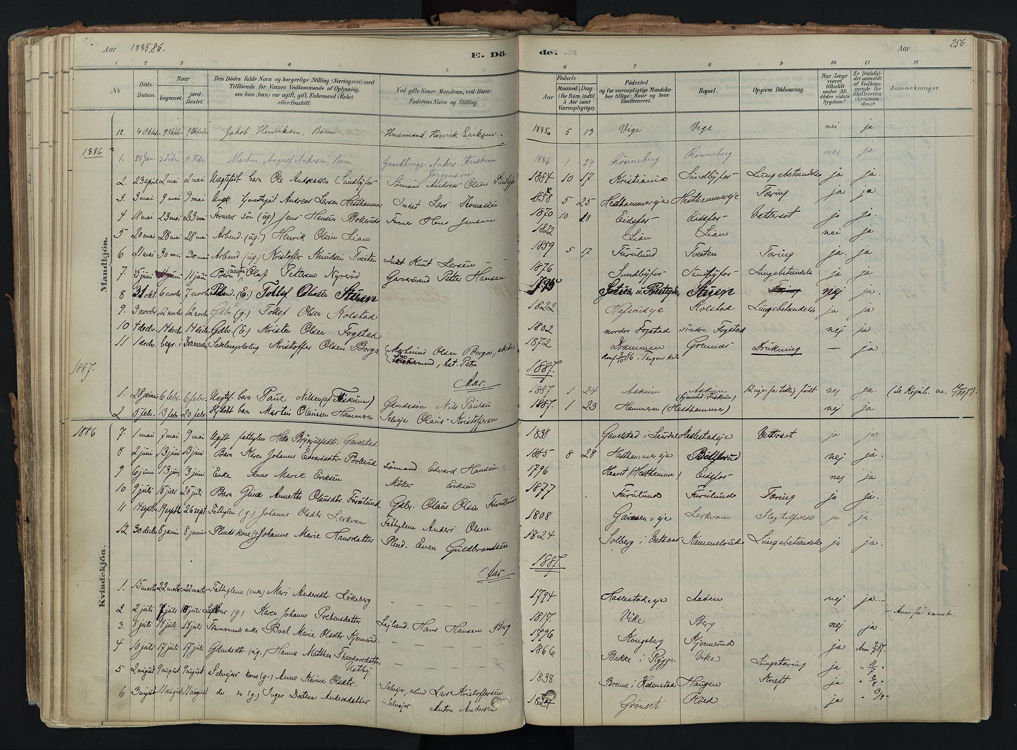 Hof kirkebøker, AV/SAKO-A-64/F/Fa/L0007: Parish register (official) no. I 7, 1878-1940, p. 256