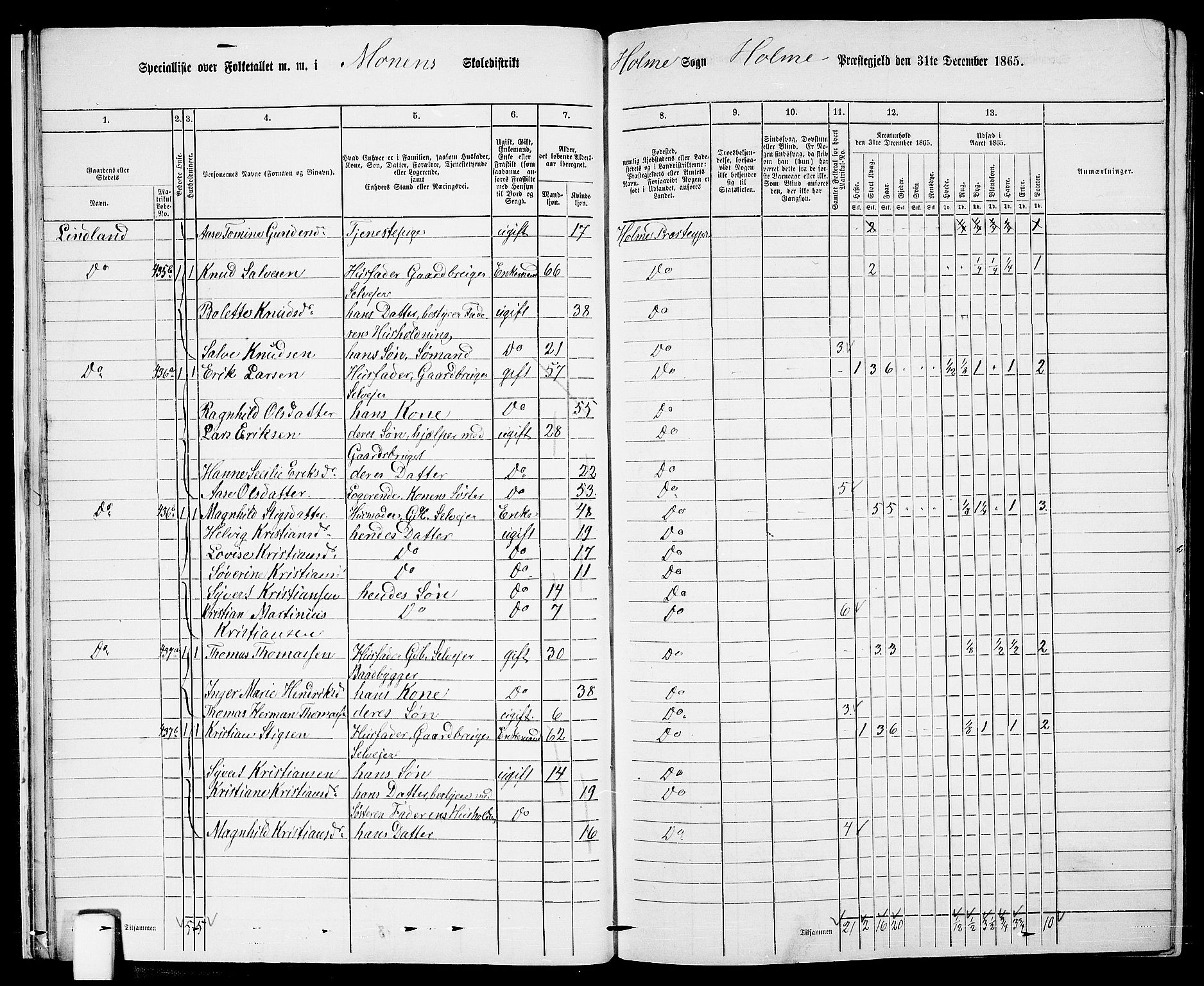 RA, 1865 census for Holum, 1865, p. 22