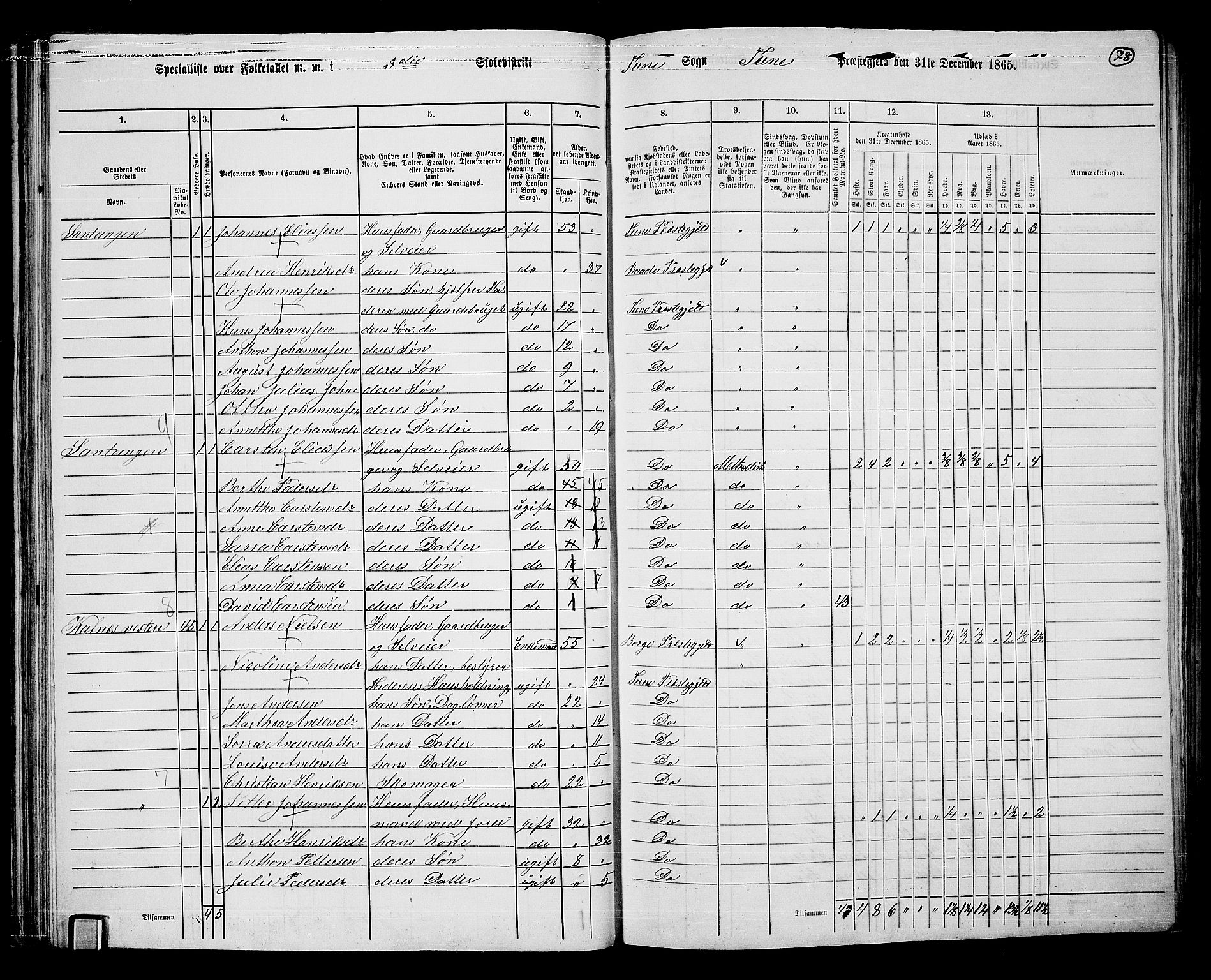 RA, 1865 census for Tune, 1865, p. 71