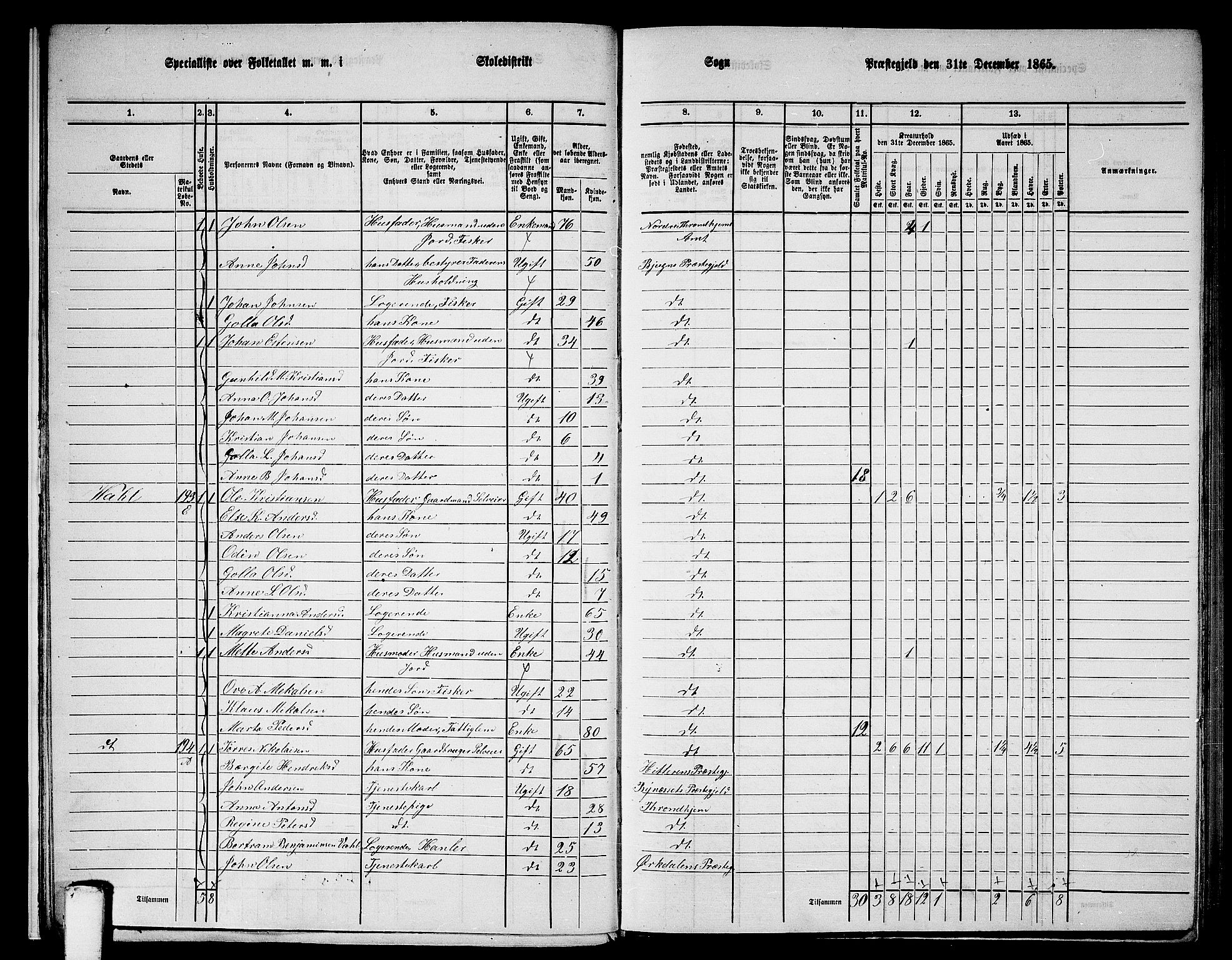 RA, 1865 census for Bjugn, 1865, p. 14