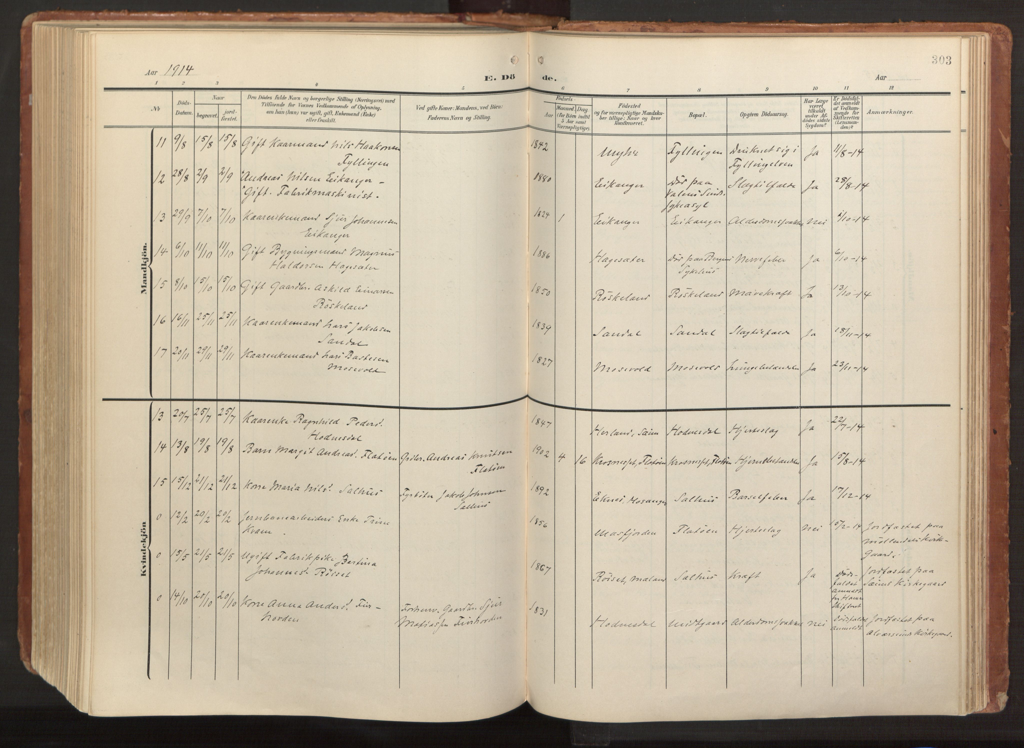 Hamre sokneprestembete, AV/SAB-A-75501/H/Ha/Haa/Haab/L0002: Parish register (official) no. B 2, 1905-1924, p. 303