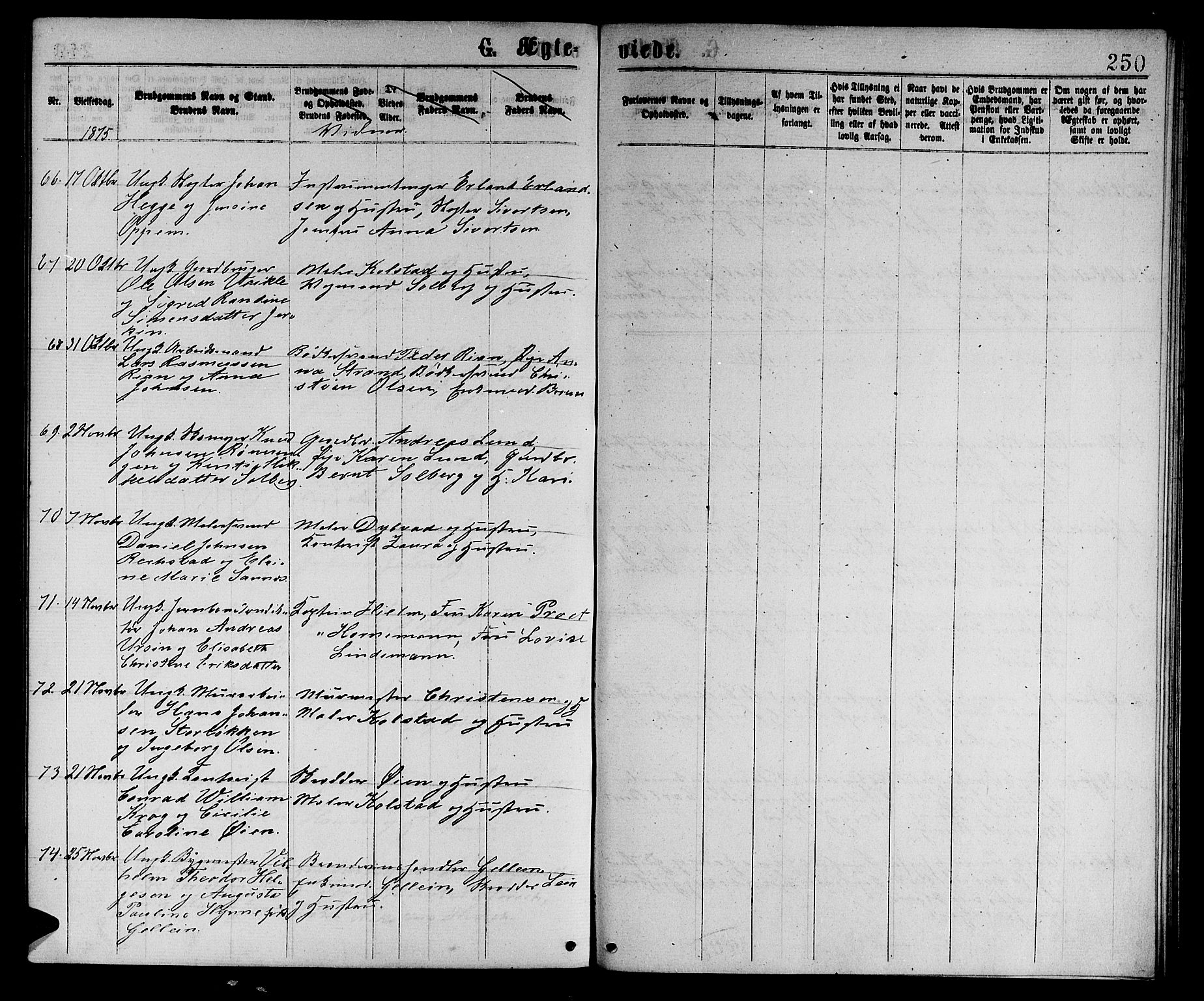 Ministerialprotokoller, klokkerbøker og fødselsregistre - Sør-Trøndelag, SAT/A-1456/601/L0088: Parish register (copy) no. 601C06, 1870-1878, p. 250