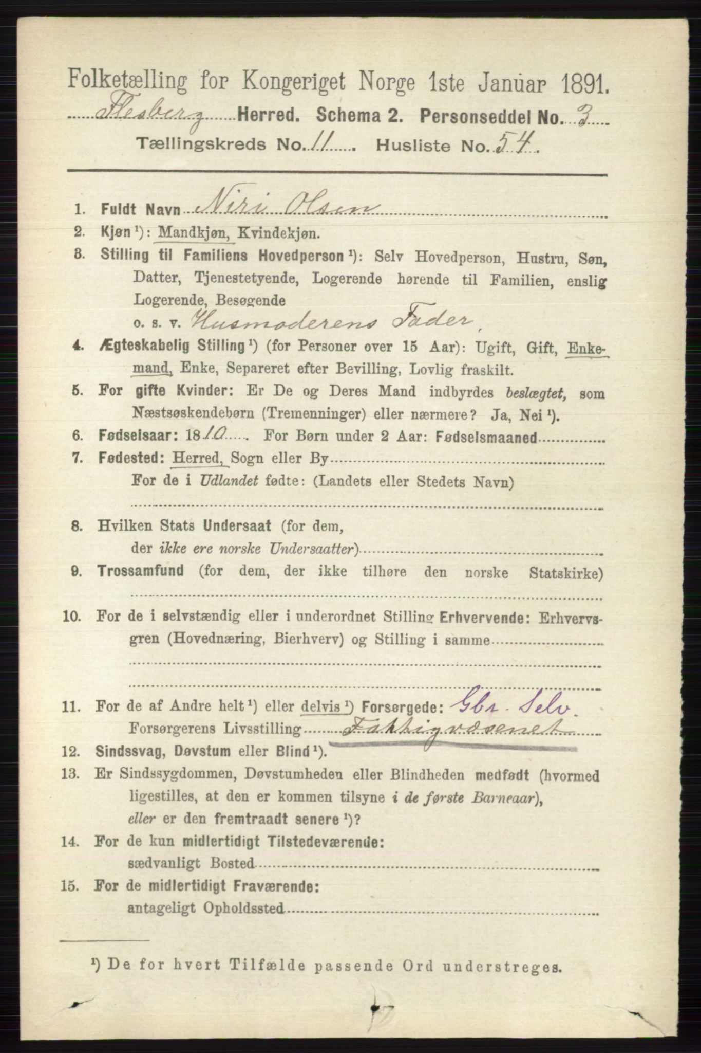 RA, 1891 census for 0631 Flesberg, 1891, p. 2066