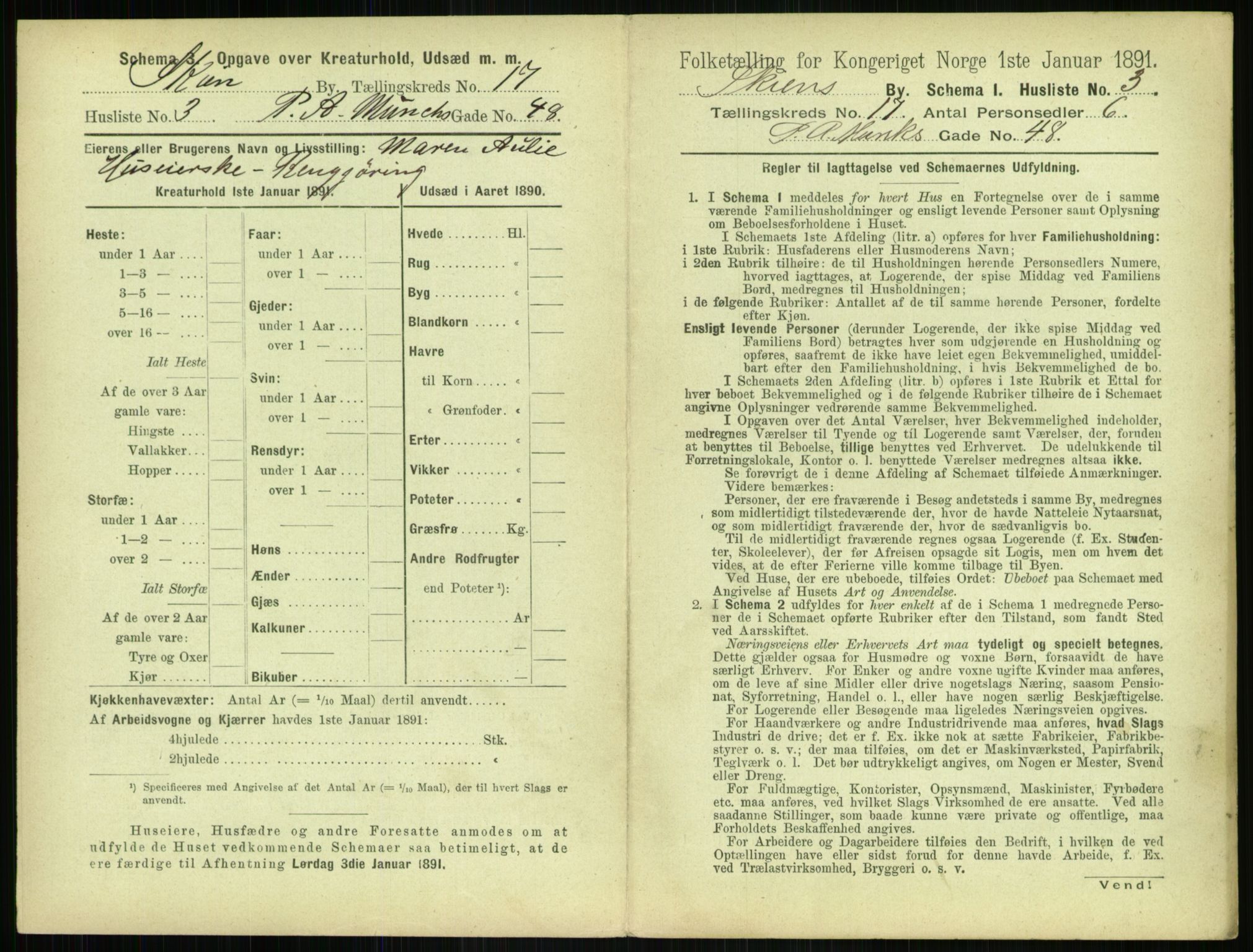 RA, 1891 census for 0806 Skien, 1891, p. 674