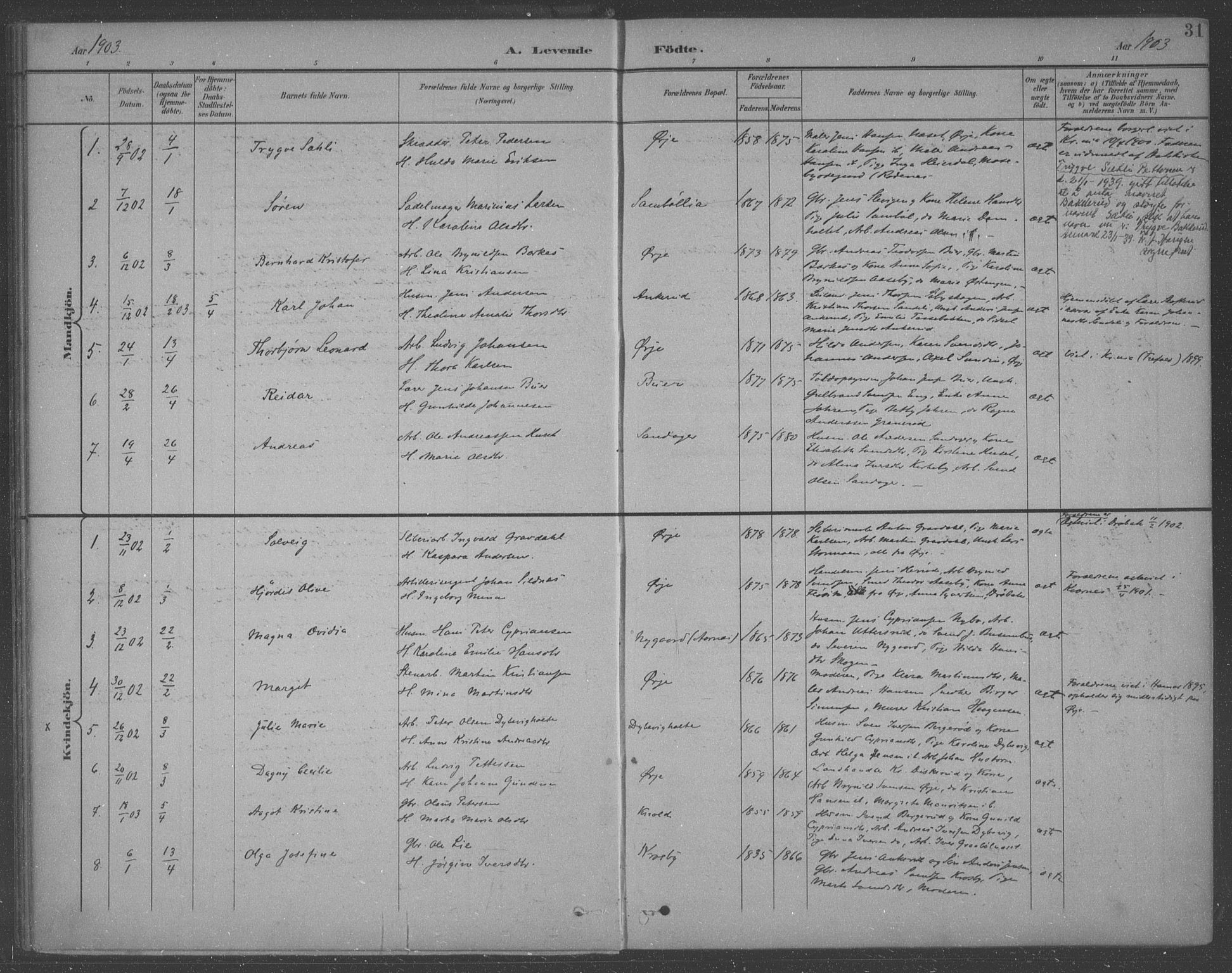 Aremark prestekontor Kirkebøker, SAO/A-10899/F/Fb/L0005: Parish register (official) no. II 5, 1895-1919, p. 31